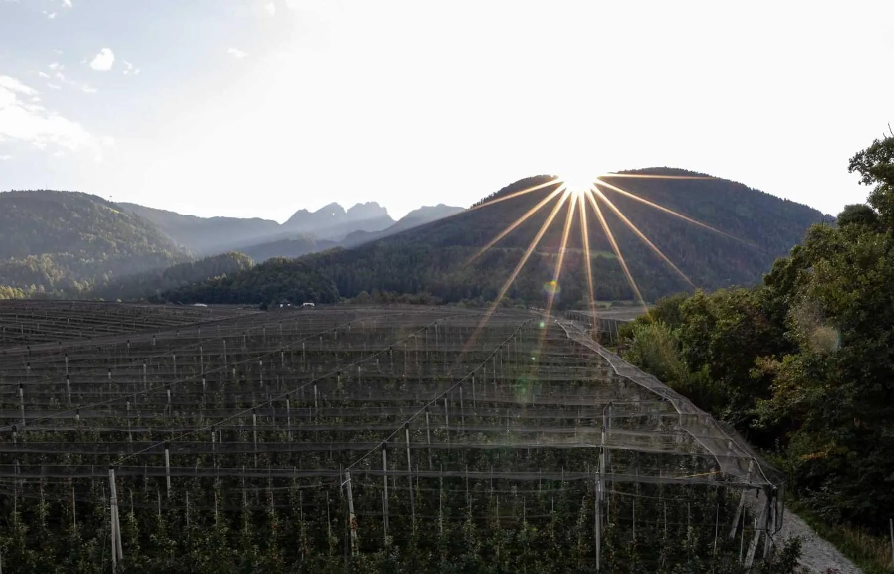 Mountain view in Hotel Finkenhof - Feel at home