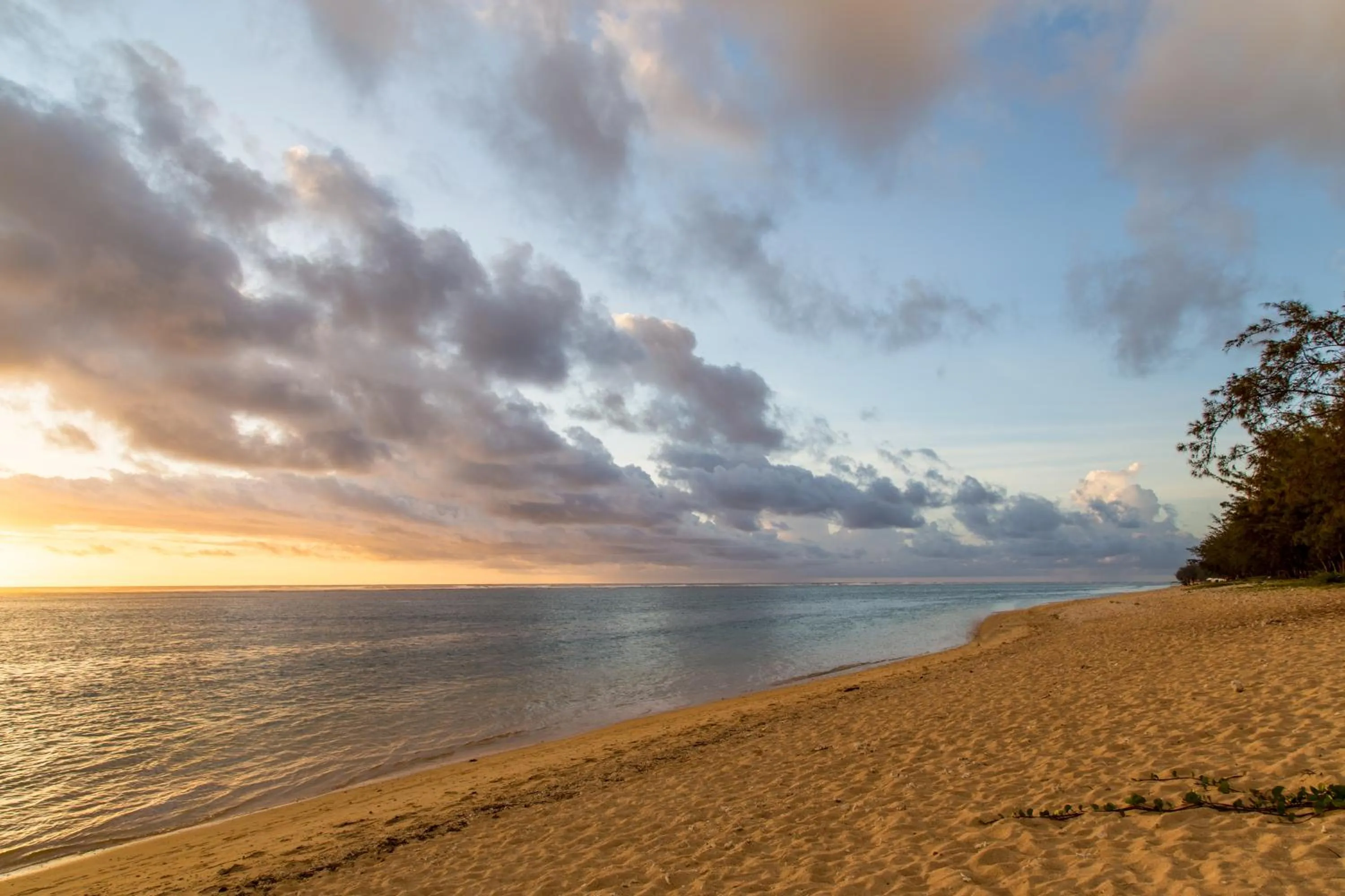 Beach in Le Nautile Beachfront