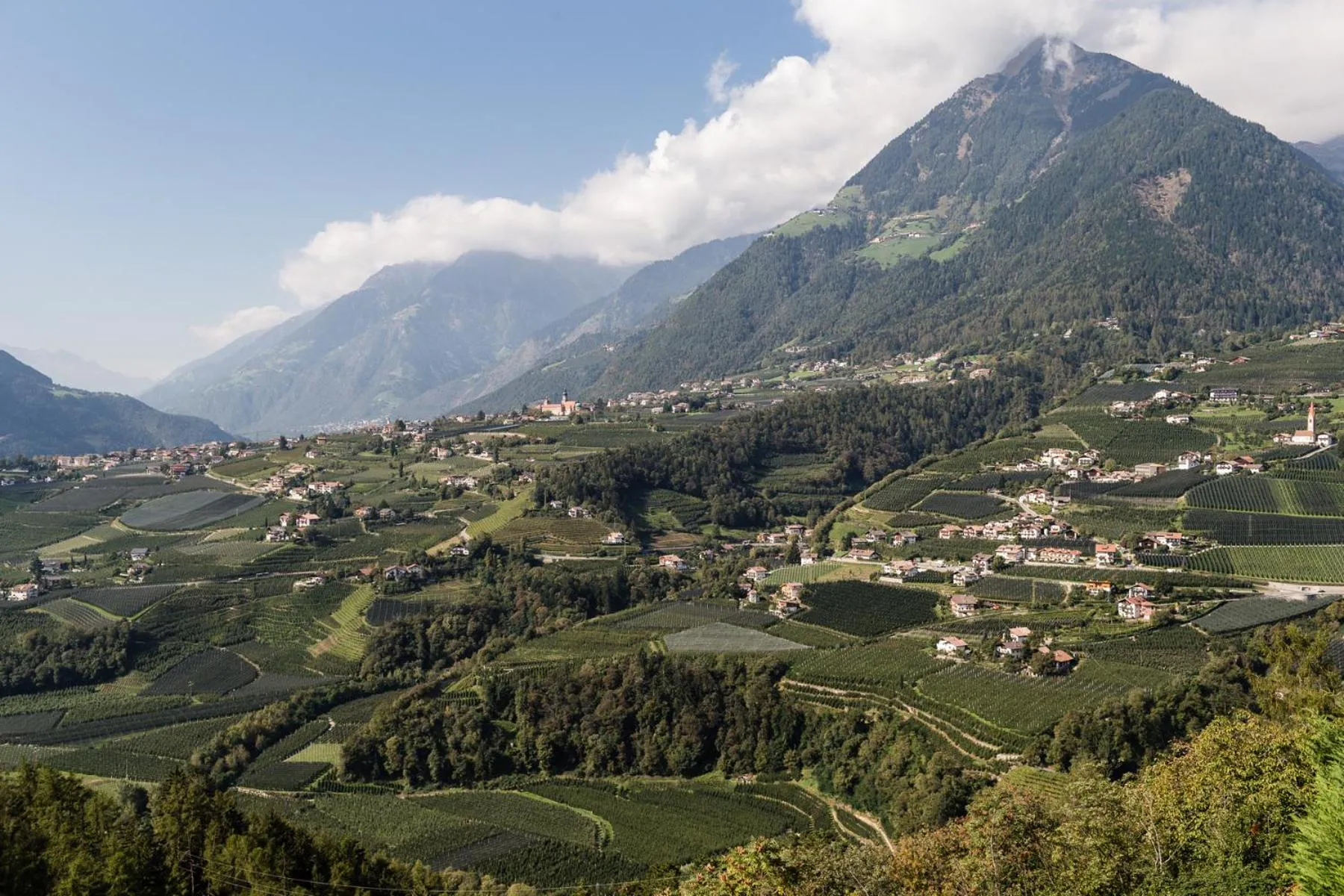 Natural landscape in Hotel Finkennest - Panoramic Garden Resort