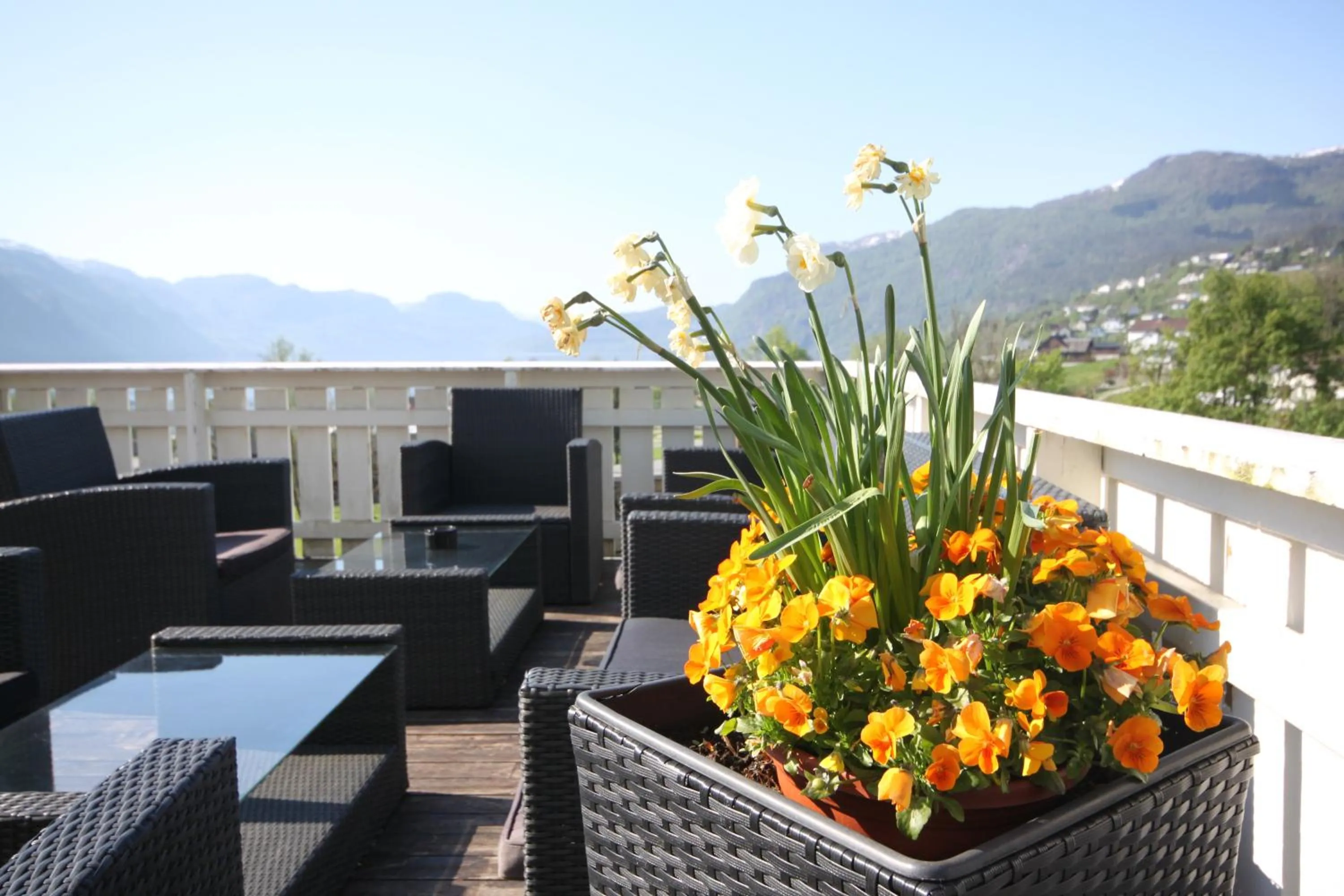 Natural landscape in Sauda Fjordhotell