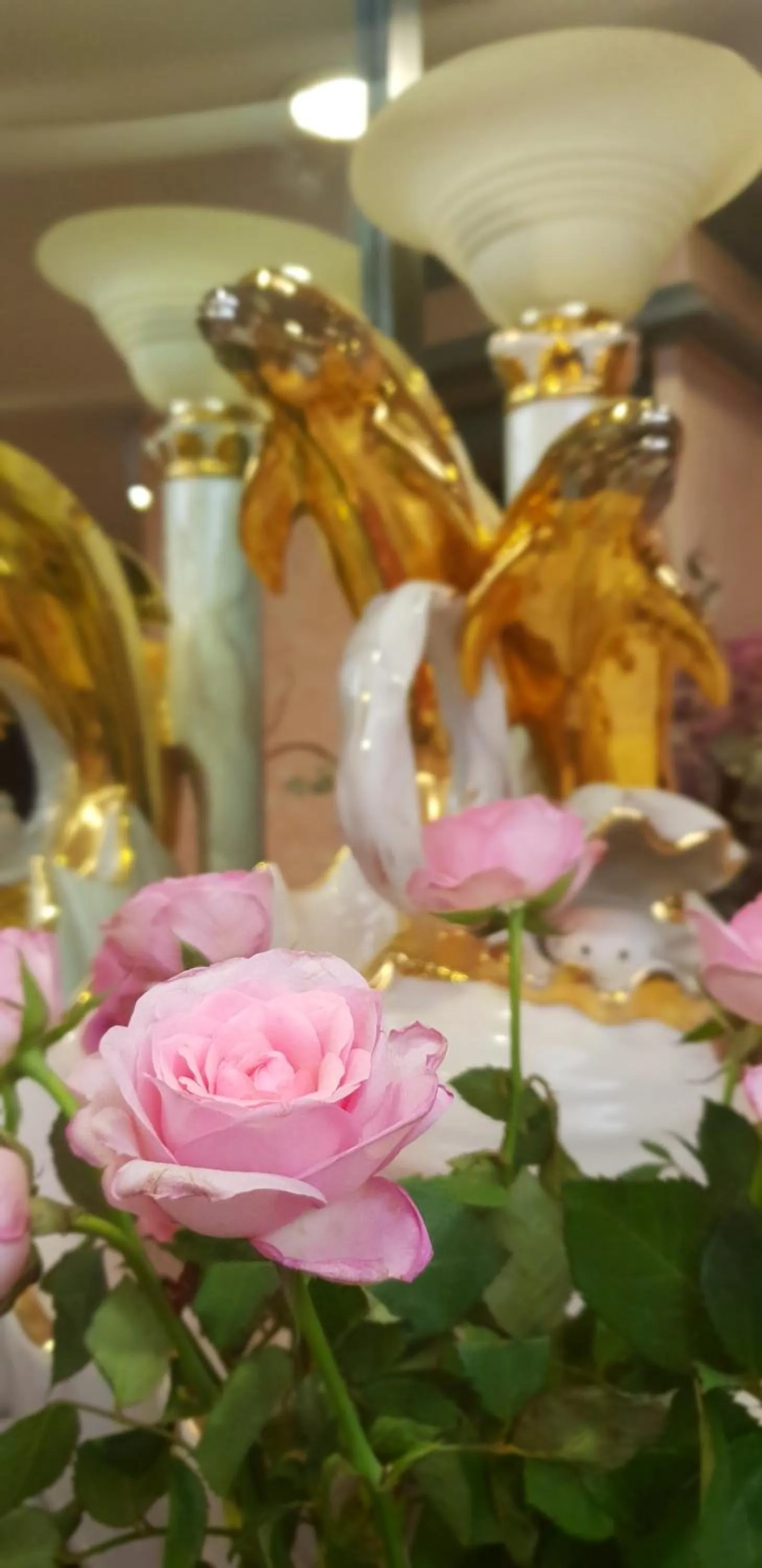 Albergo Ristorante Il Delfino