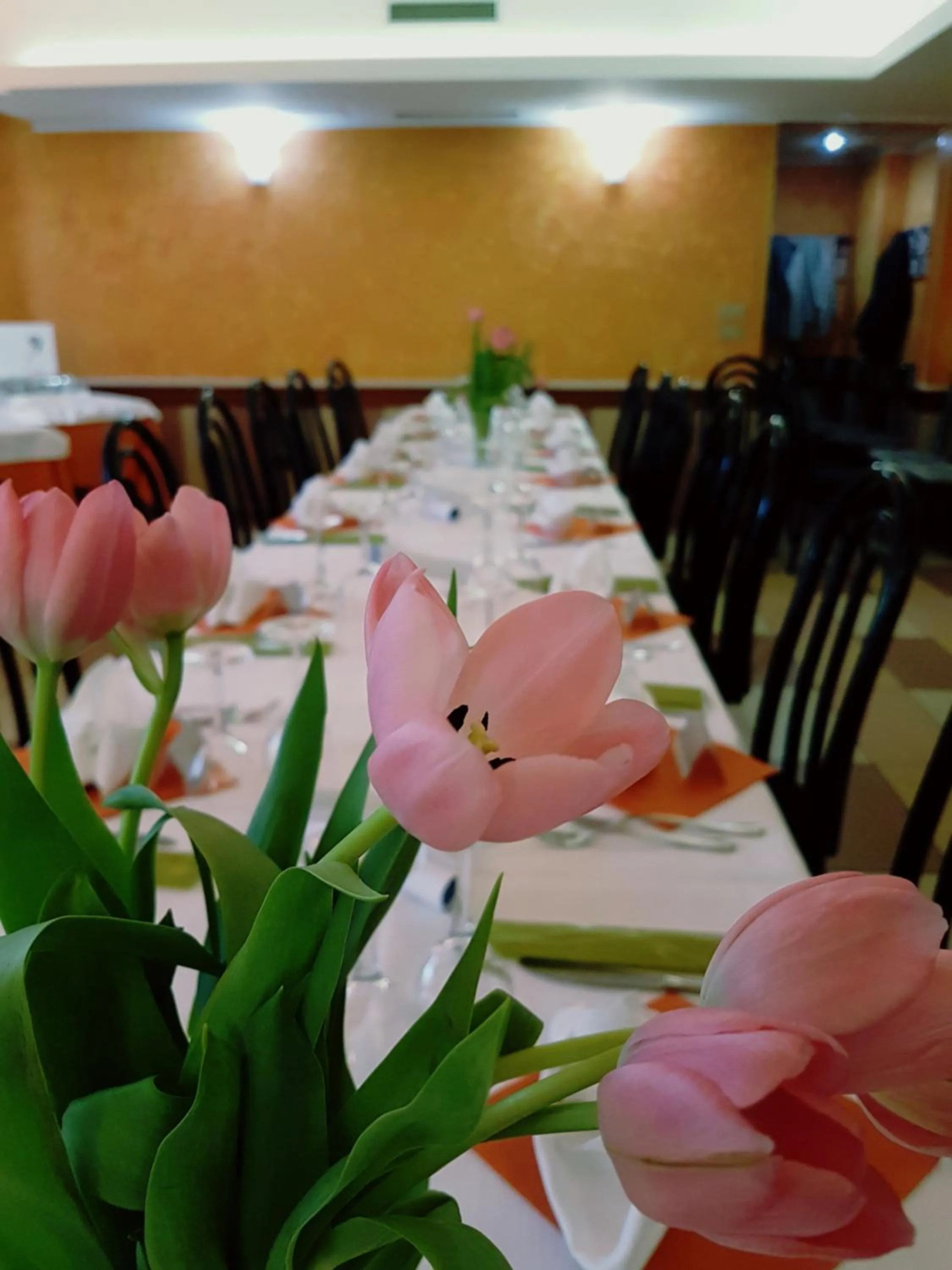 Albergo Ristorante Il Delfino