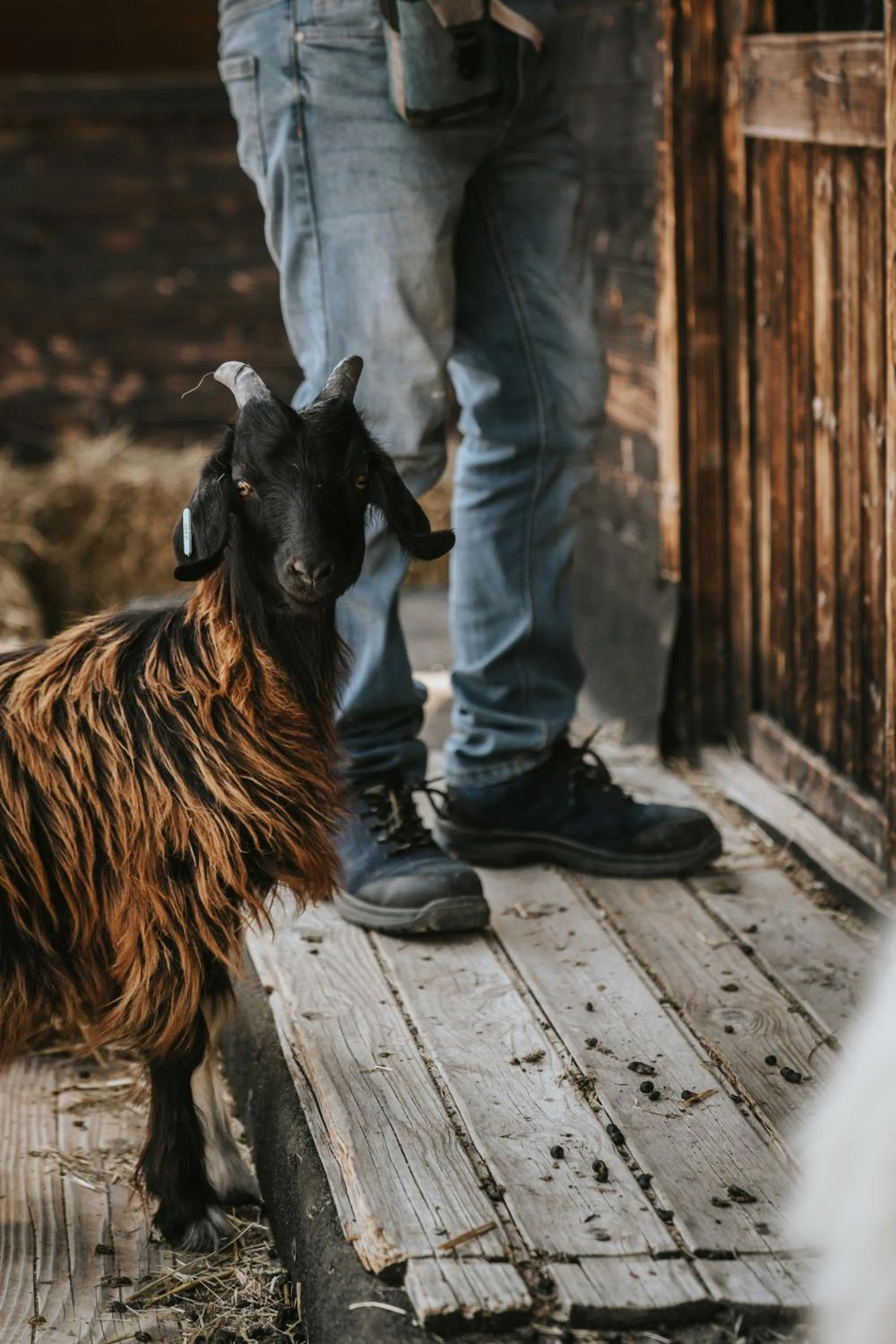 Activities in Château Les Carrasses