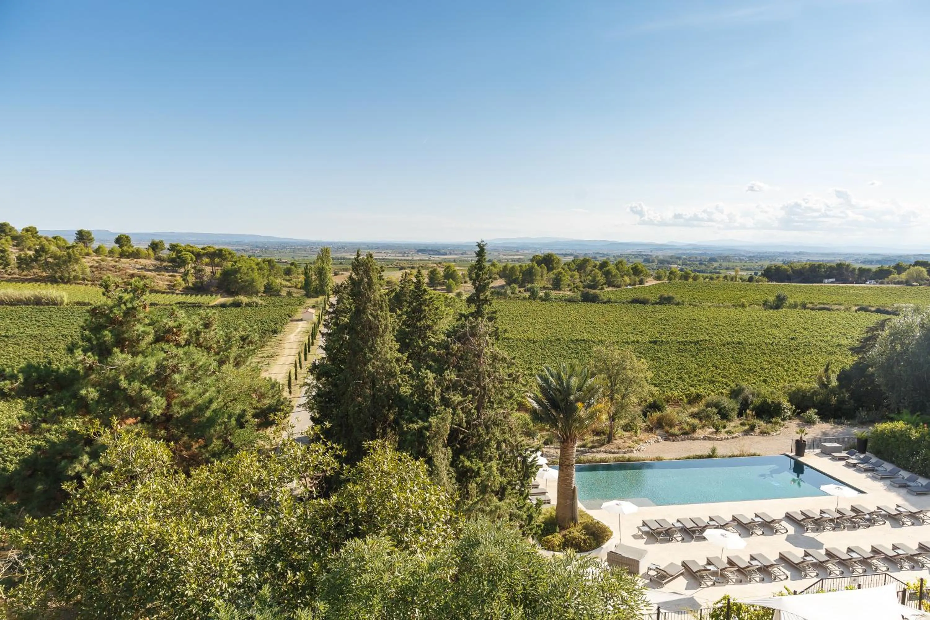 Swimming pool in Château Les Carrasses
