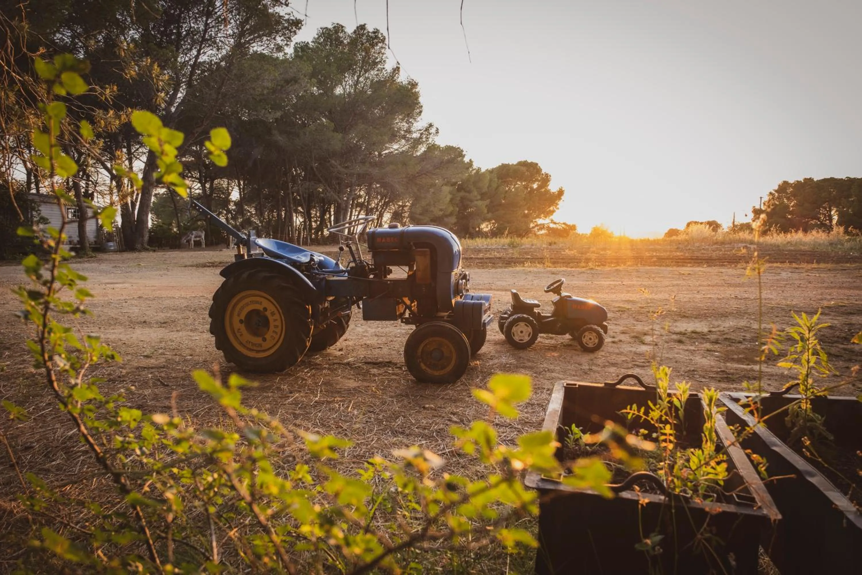 Garden in Château Les Carrasses