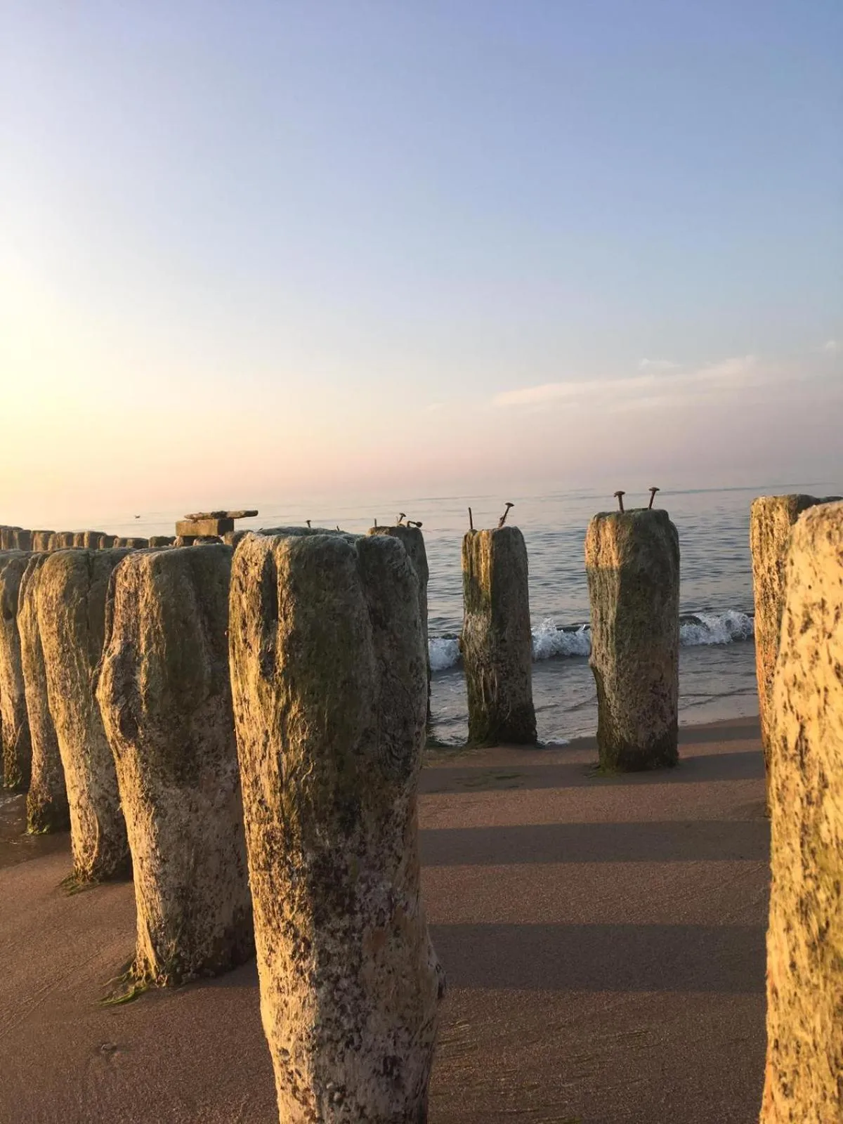 Natural landscape in Dworek Morski SPA & Wellness