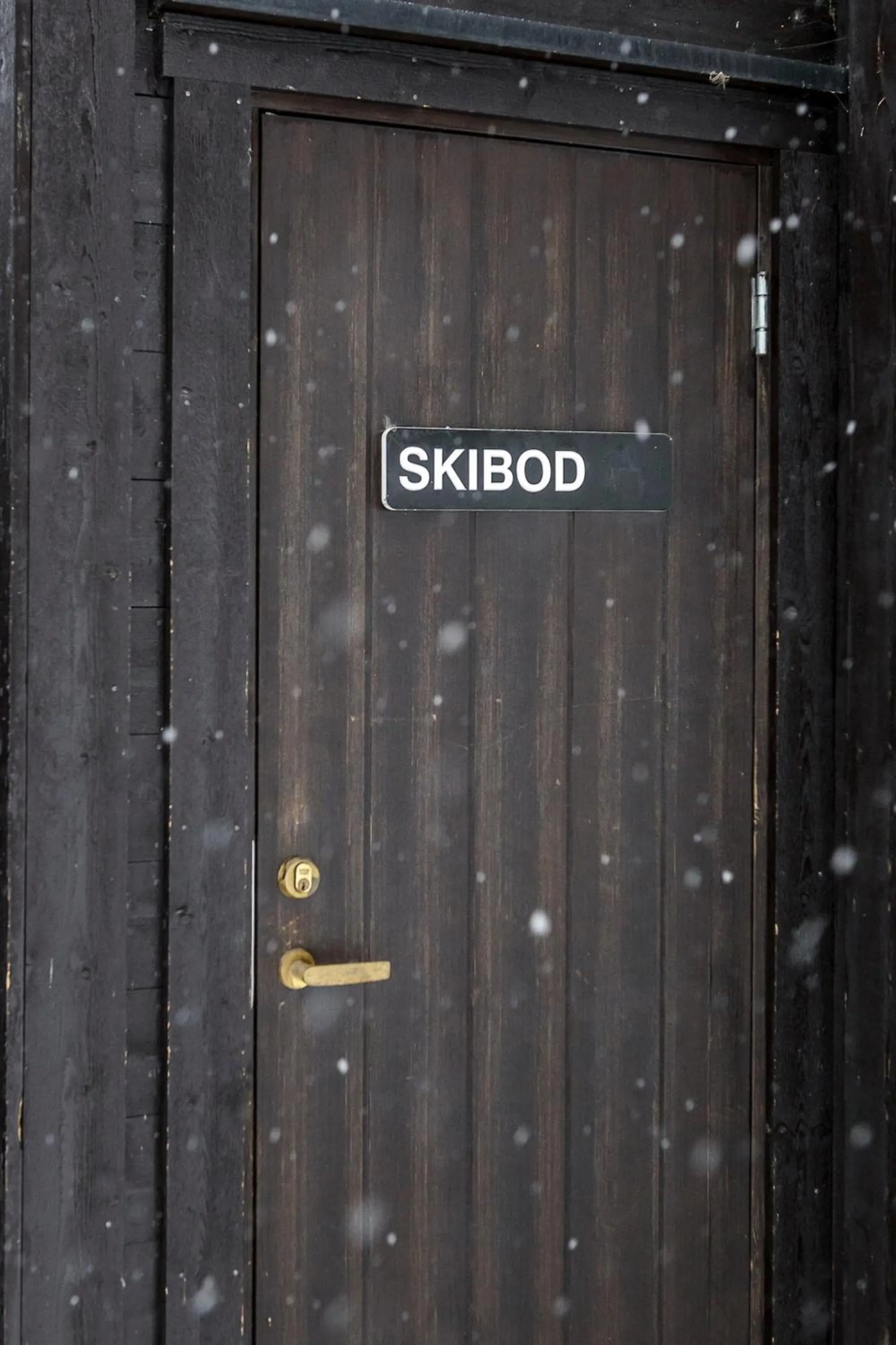 microwave in Alpin Apartments Solsiden