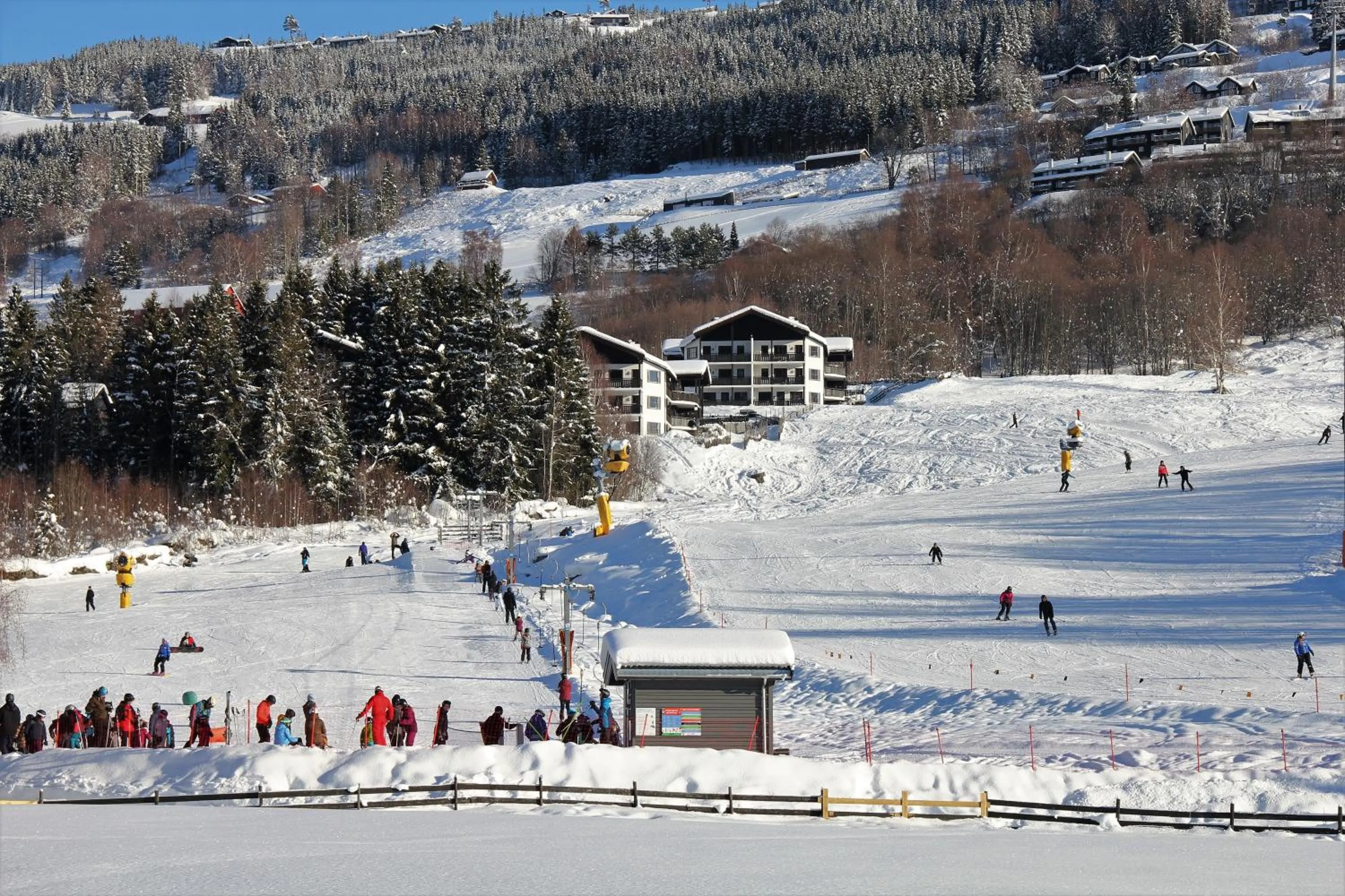 Ski School in Alpin Apartments Solsiden