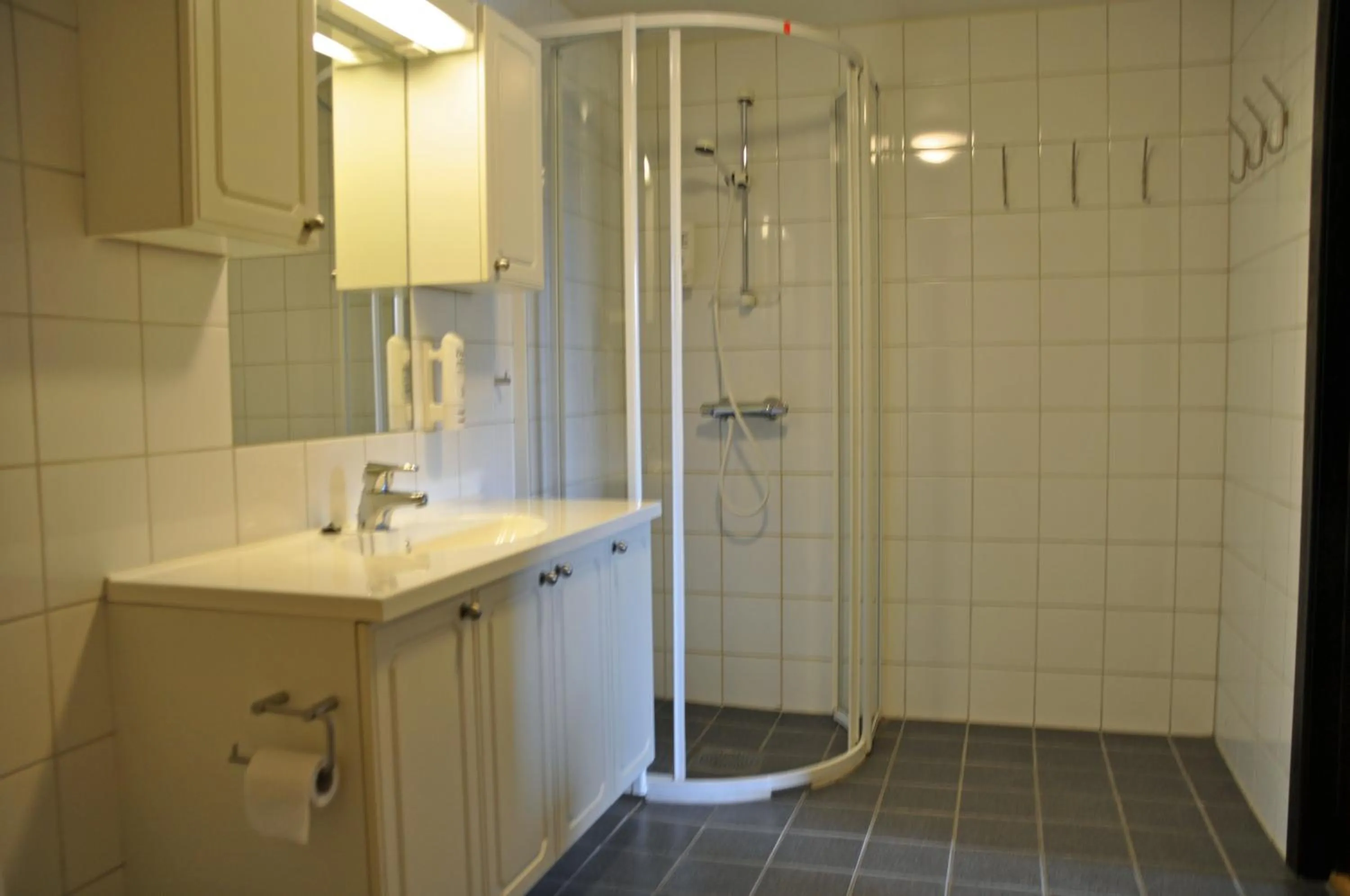 Shower in Alpin Apartments Solsiden