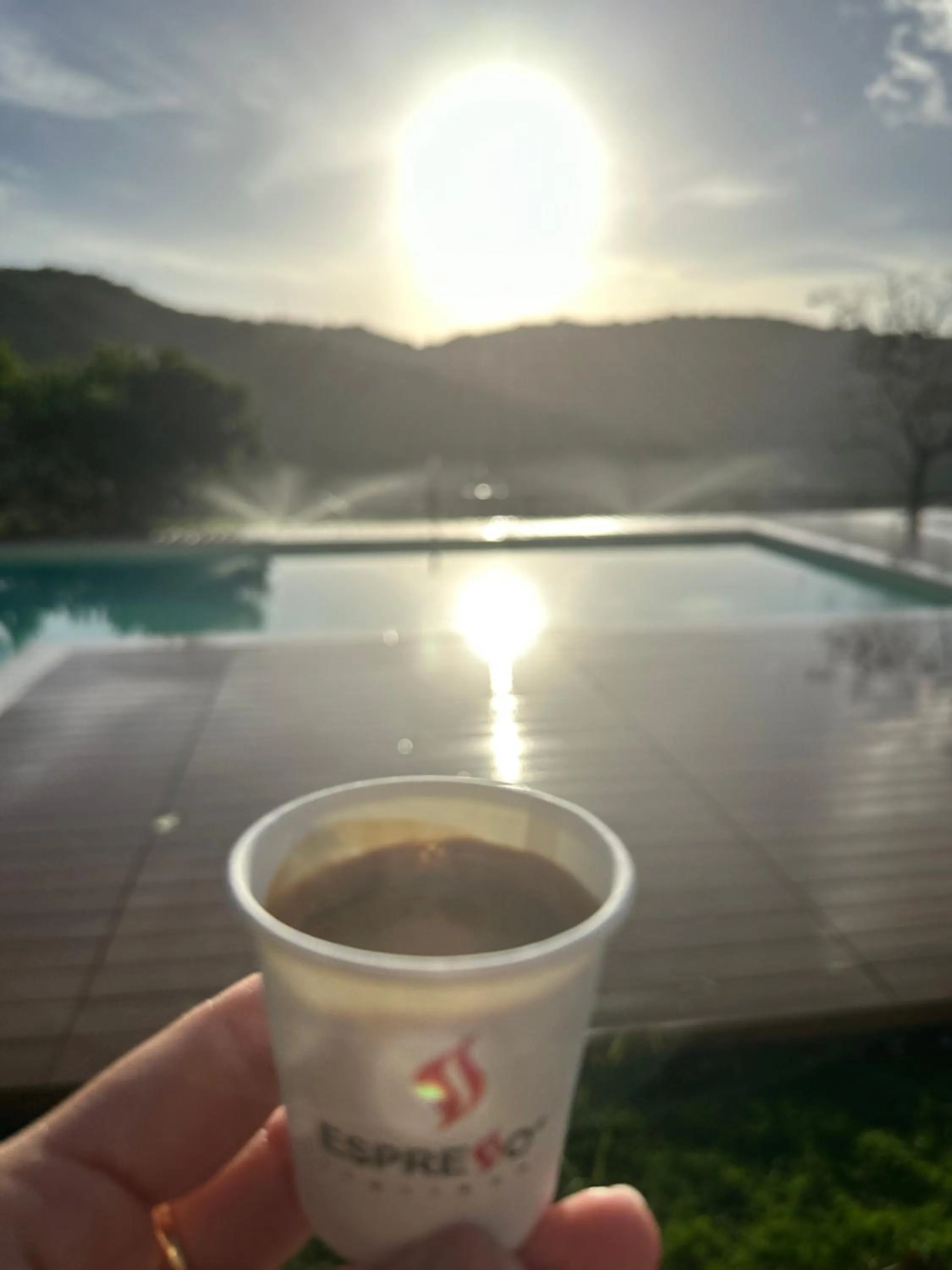 Swimming pool in Villa Le Torrette