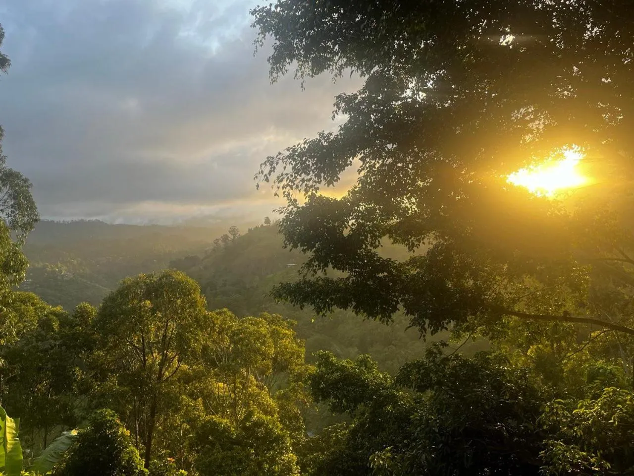 Sunrise in Royal Mount Ella