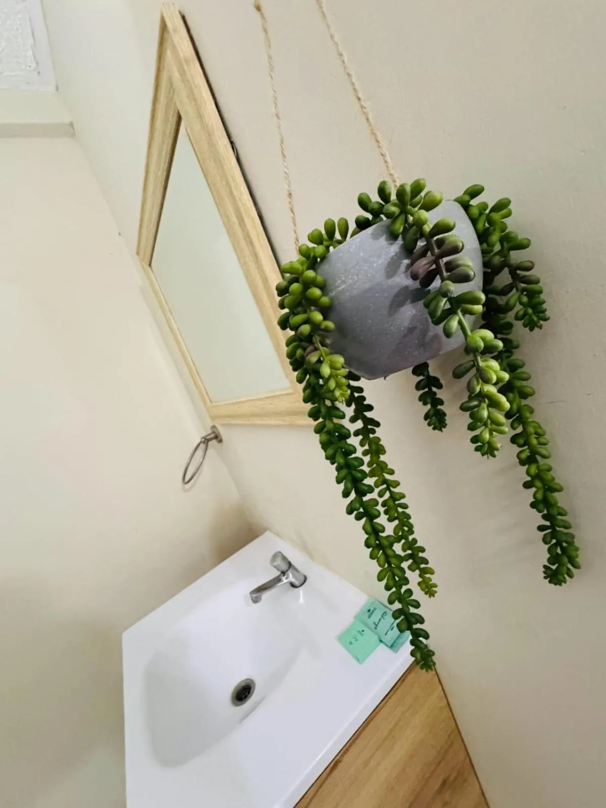 Decorative detail in Hotel Boutique Valverde Santa Elena