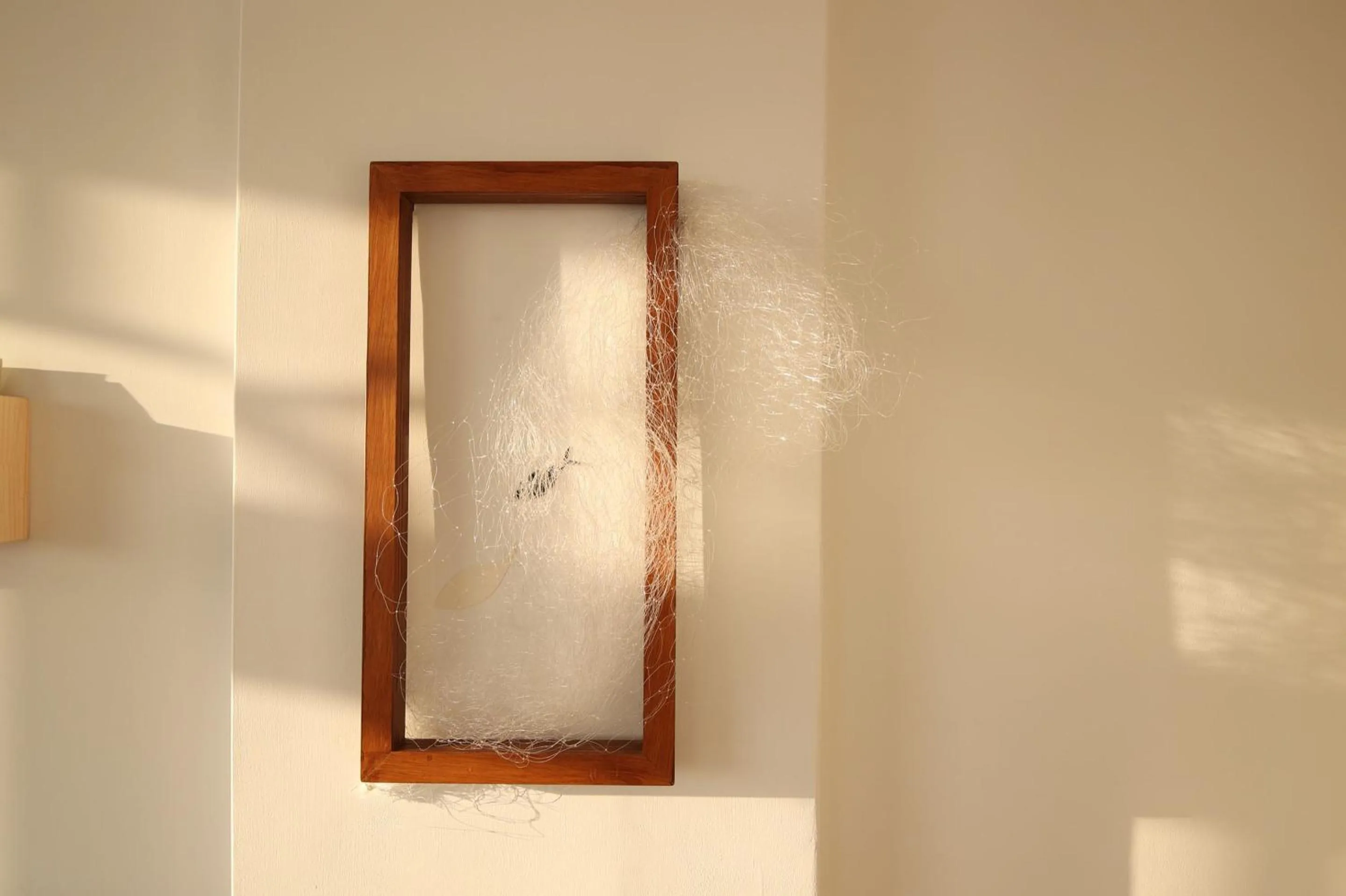 Decorative detail in OwlStay The Salt