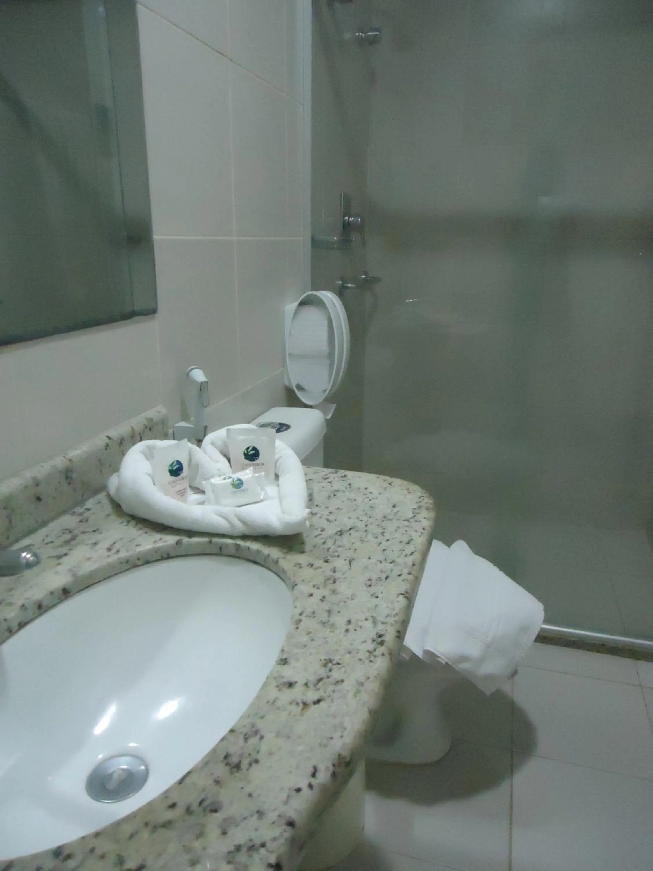 Bathroom in Coqueiros Express Hotel