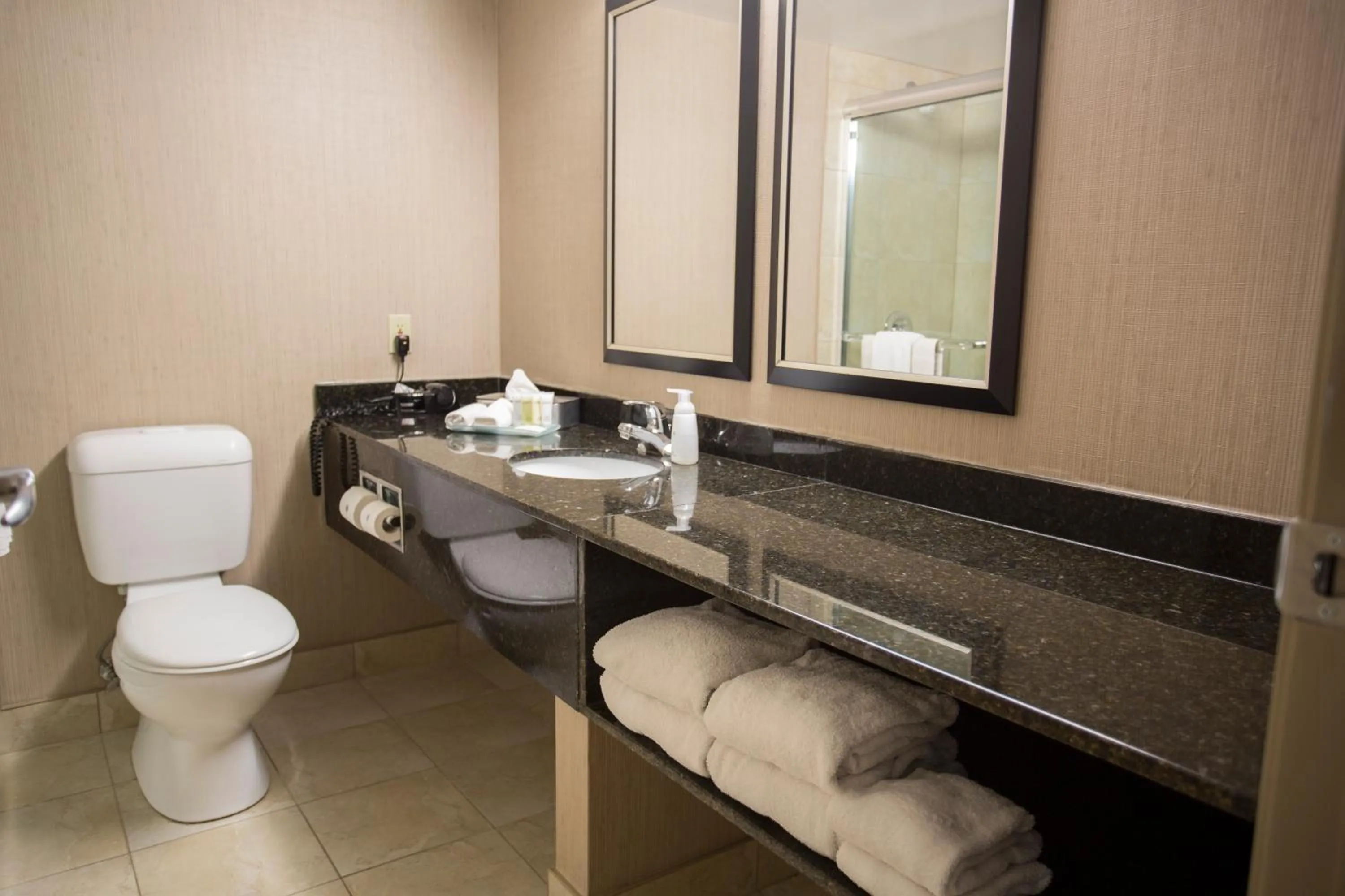 Bathroom in Superior Inn Hotel and Conference Centre Thunder Bay