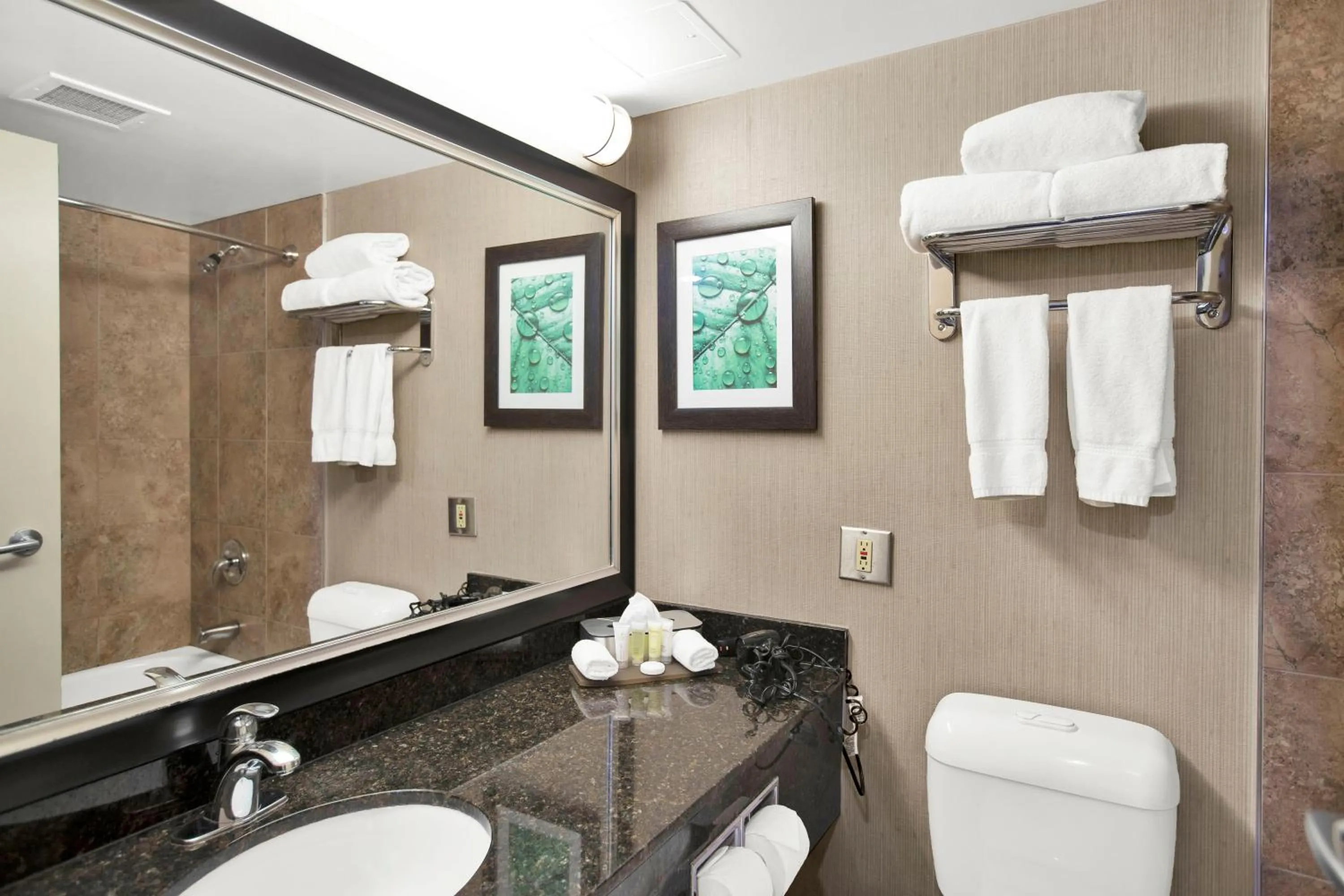 Bathroom in Superior Inn Hotel and Conference Centre Thunder Bay