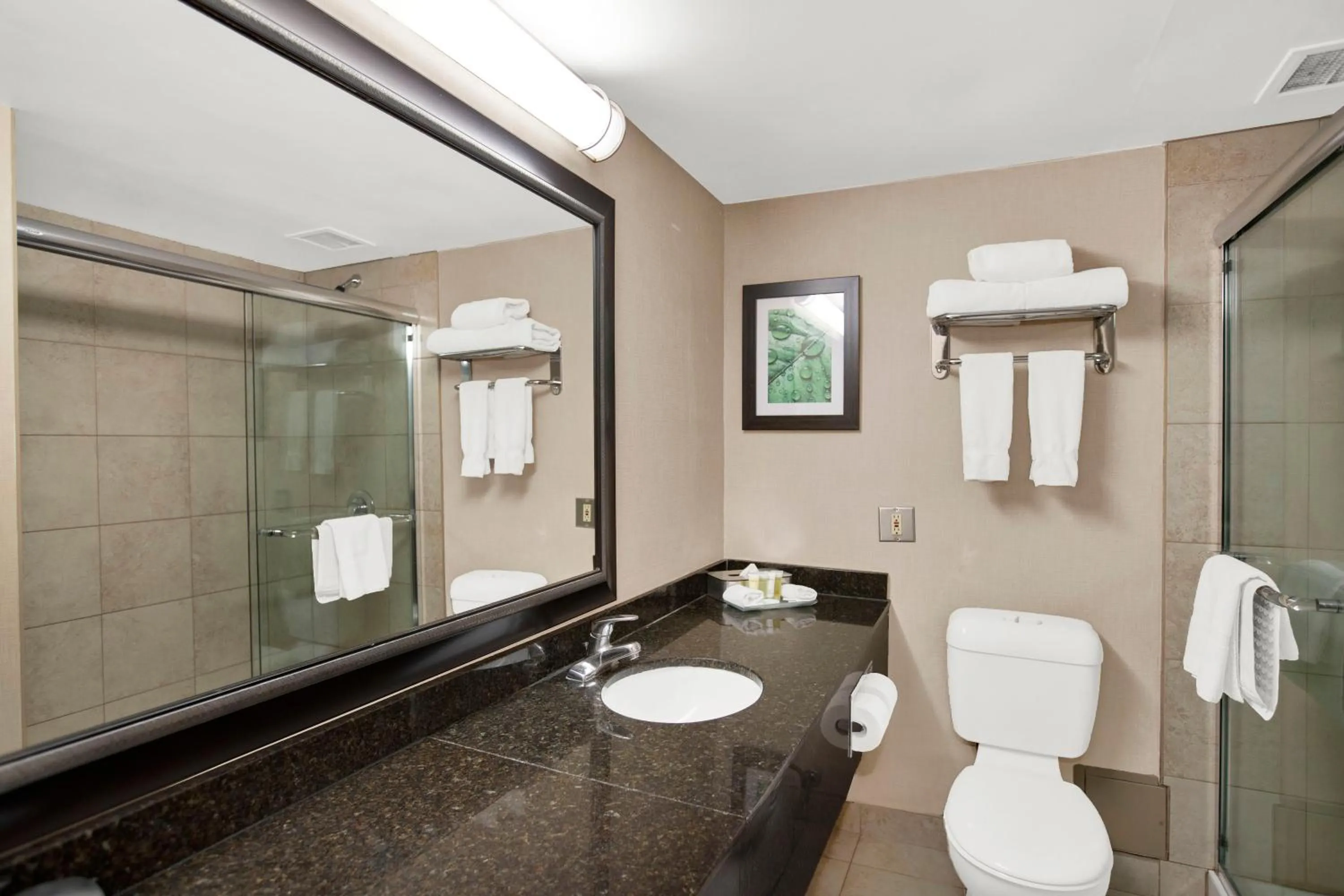 Shower in Superior Inn Hotel and Conference Centre Thunder Bay