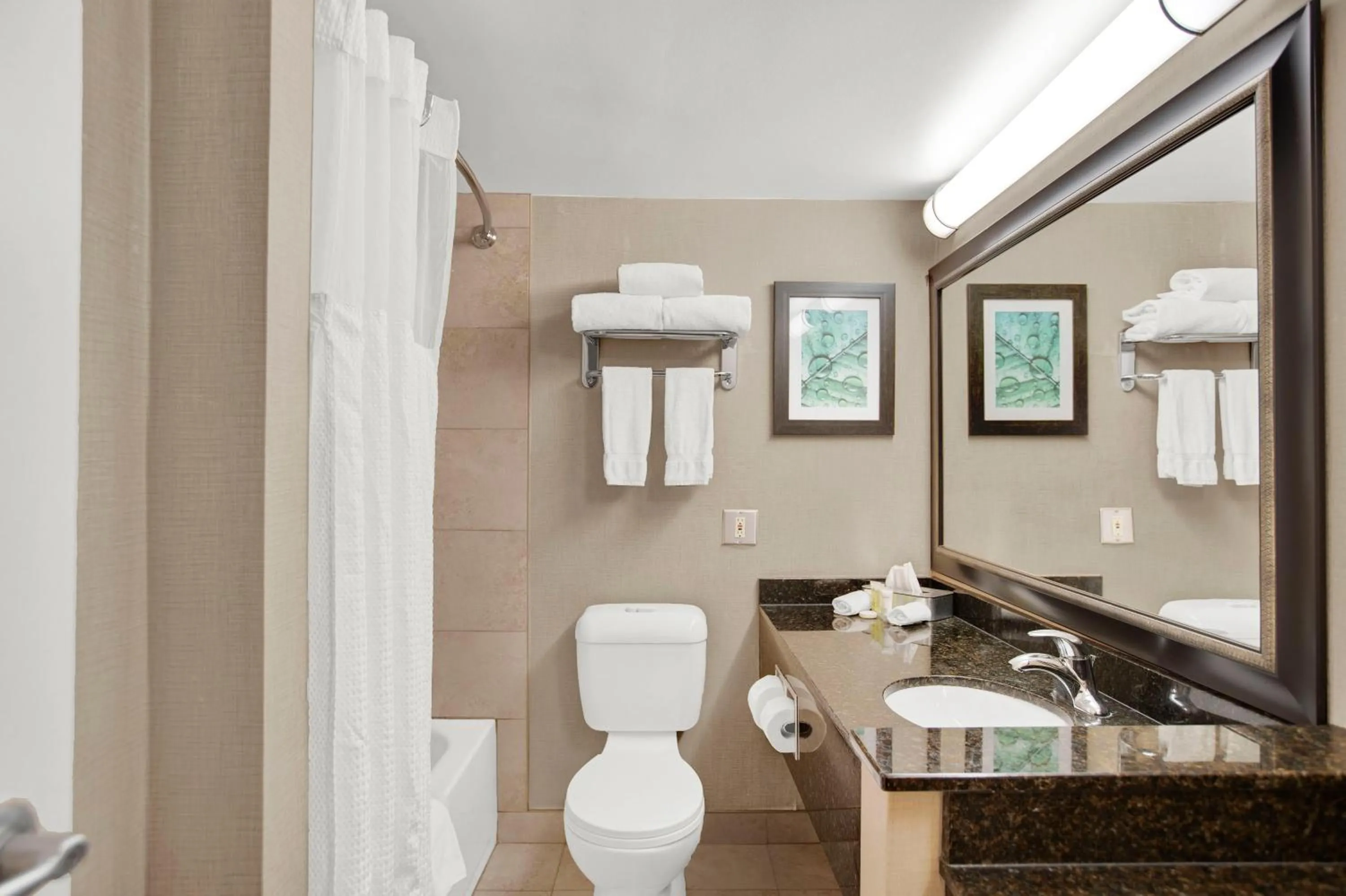 Toilet in Superior Inn Hotel and Conference Centre Thunder Bay