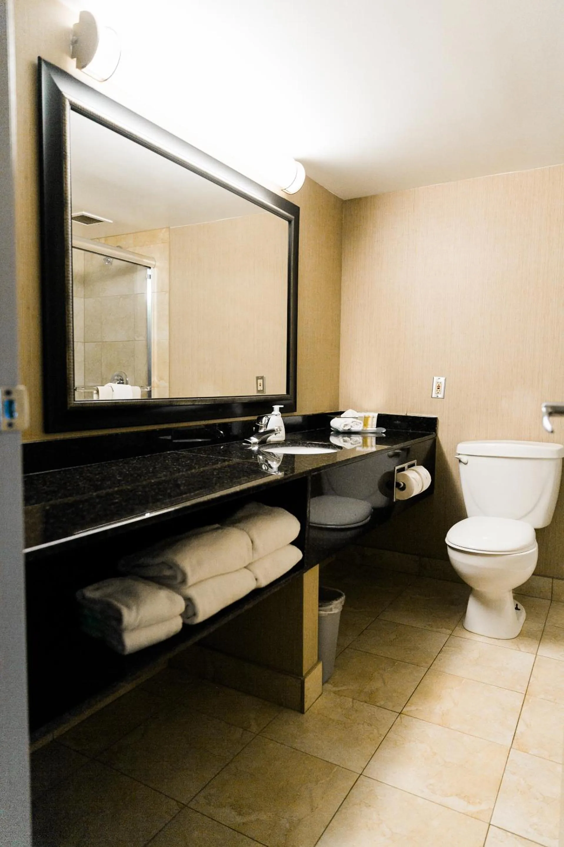 Toilet in Superior Inn Hotel and Conference Centre Thunder Bay