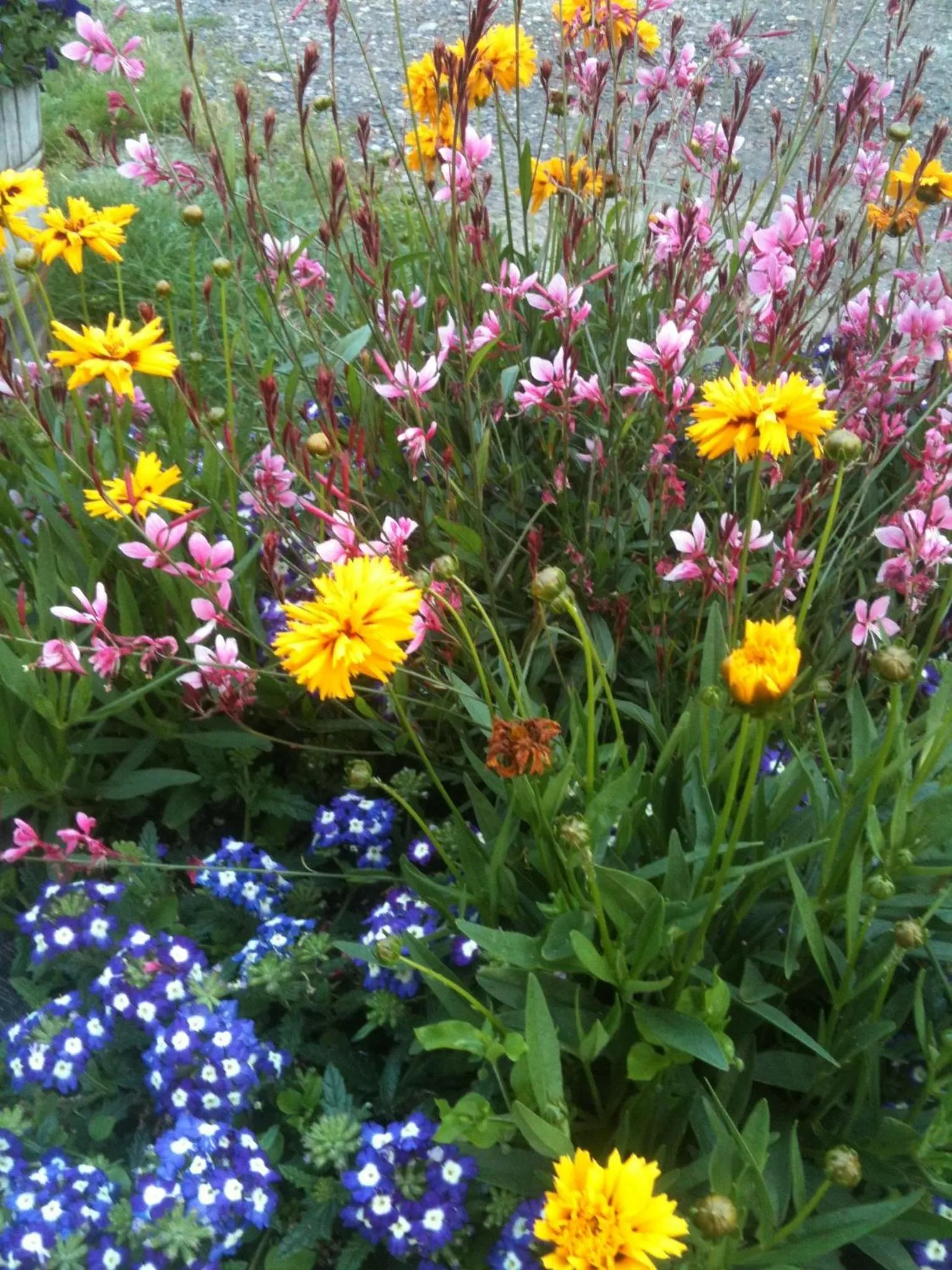 Facade/entrance in Abbey Archway Inn