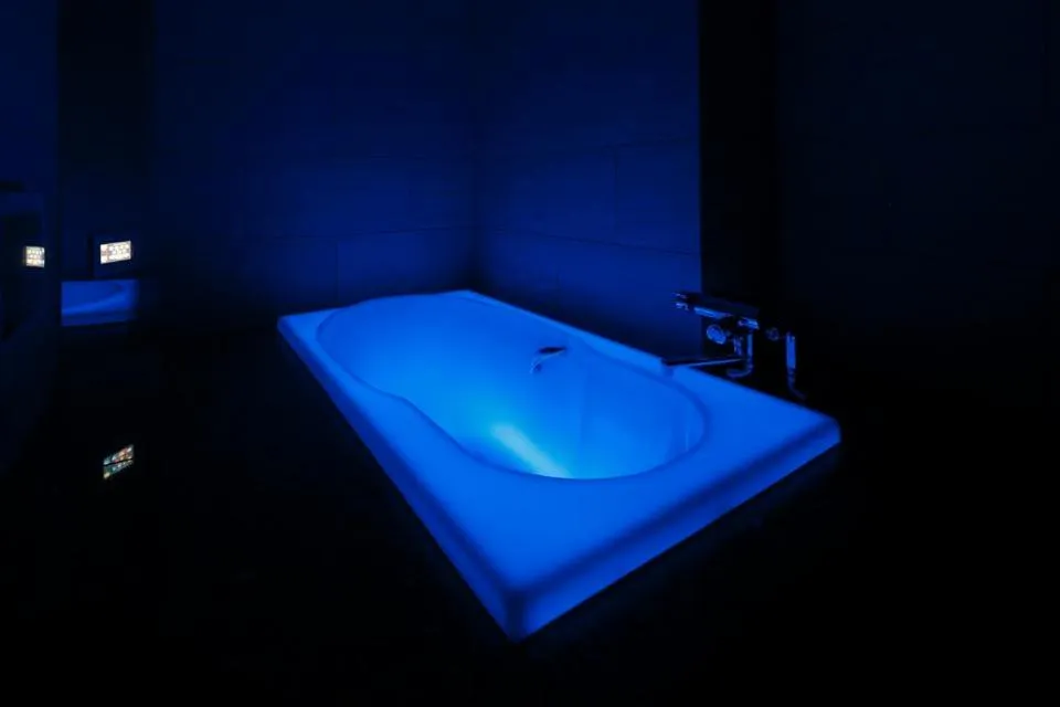 Hotel Waltz Okazaki (Adult Only)