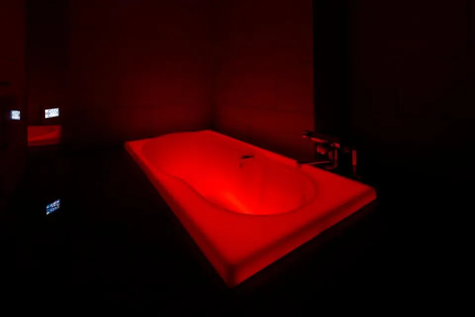 Hotel Waltz Okazaki (Adult Only)