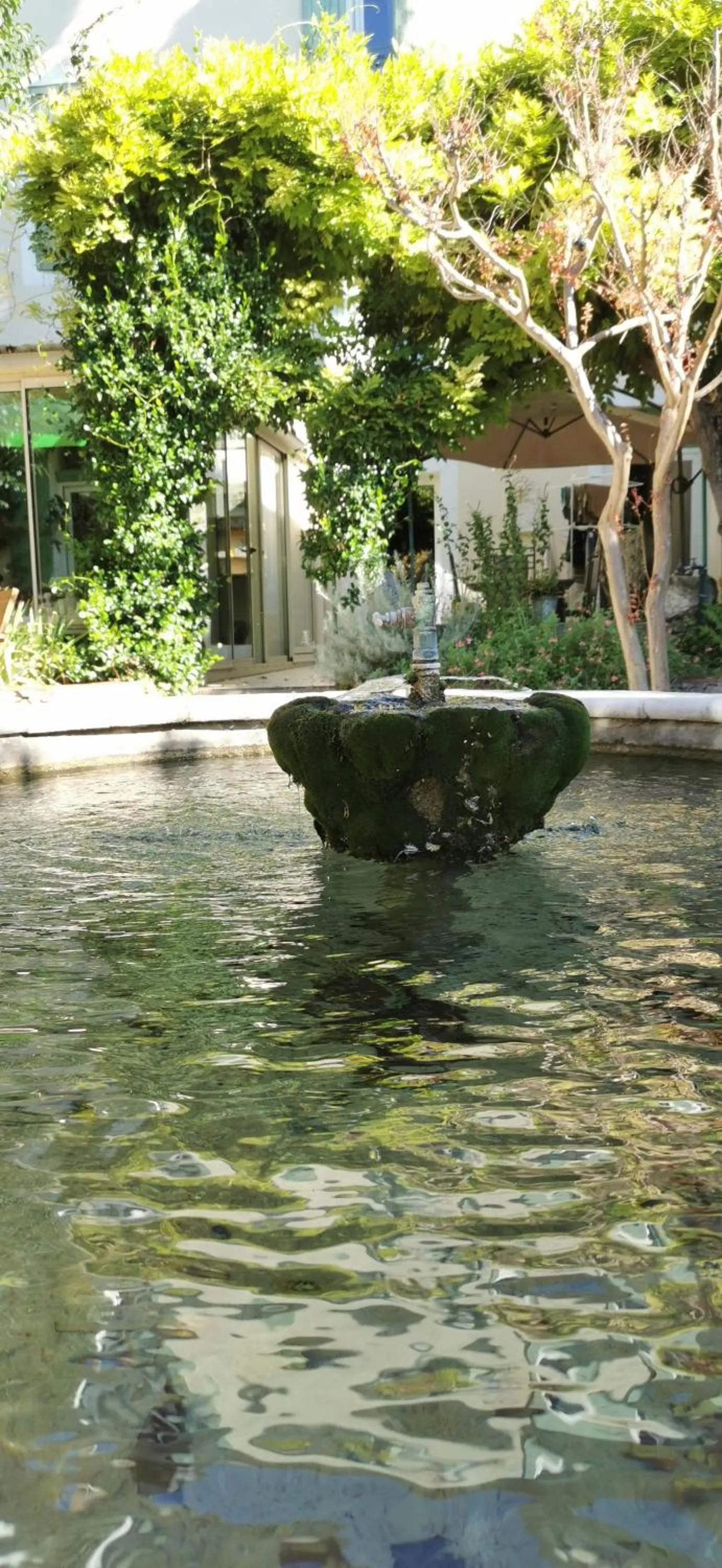 Garden in Effets Personnels