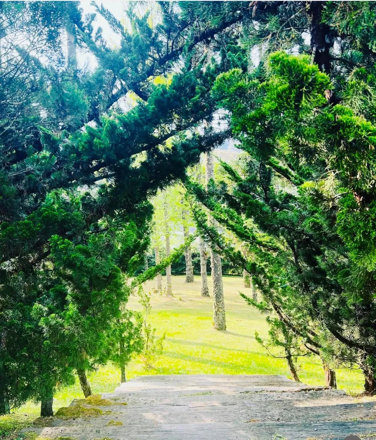 Natural landscape in Villa Casato Residenza Boutique