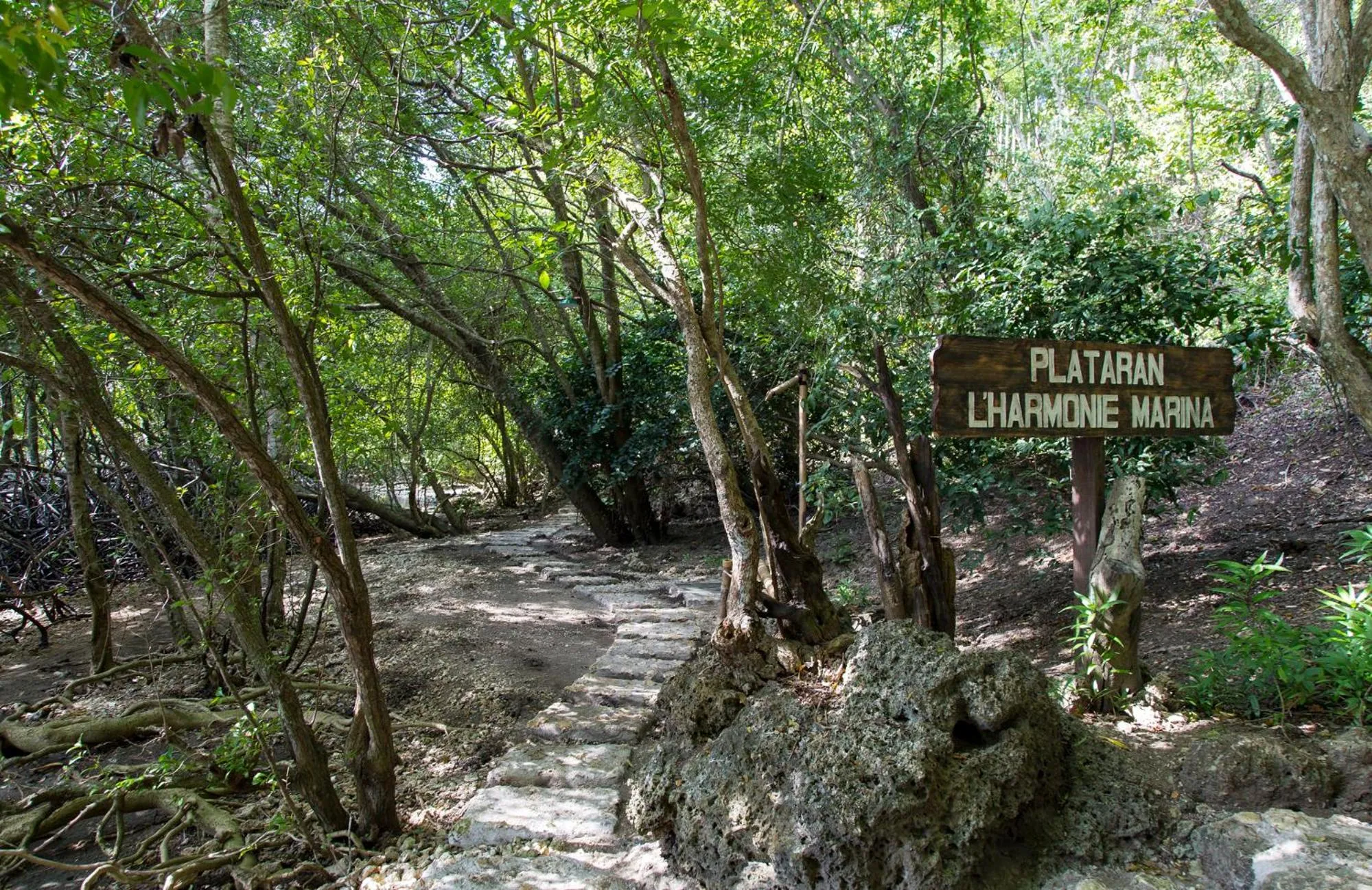 Neighbourhood in Menjangan Ecolodge - CHSE Certified