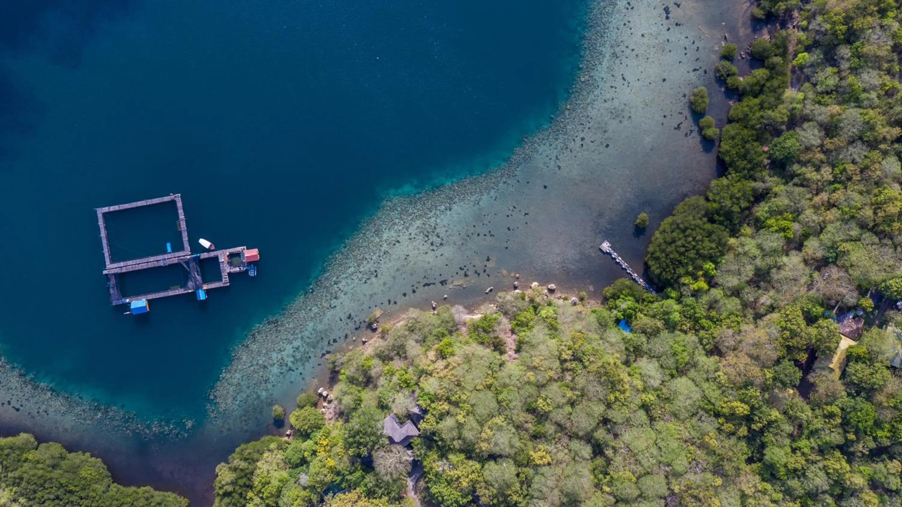 Beach in Menjangan Ecolodge - CHSE Certified