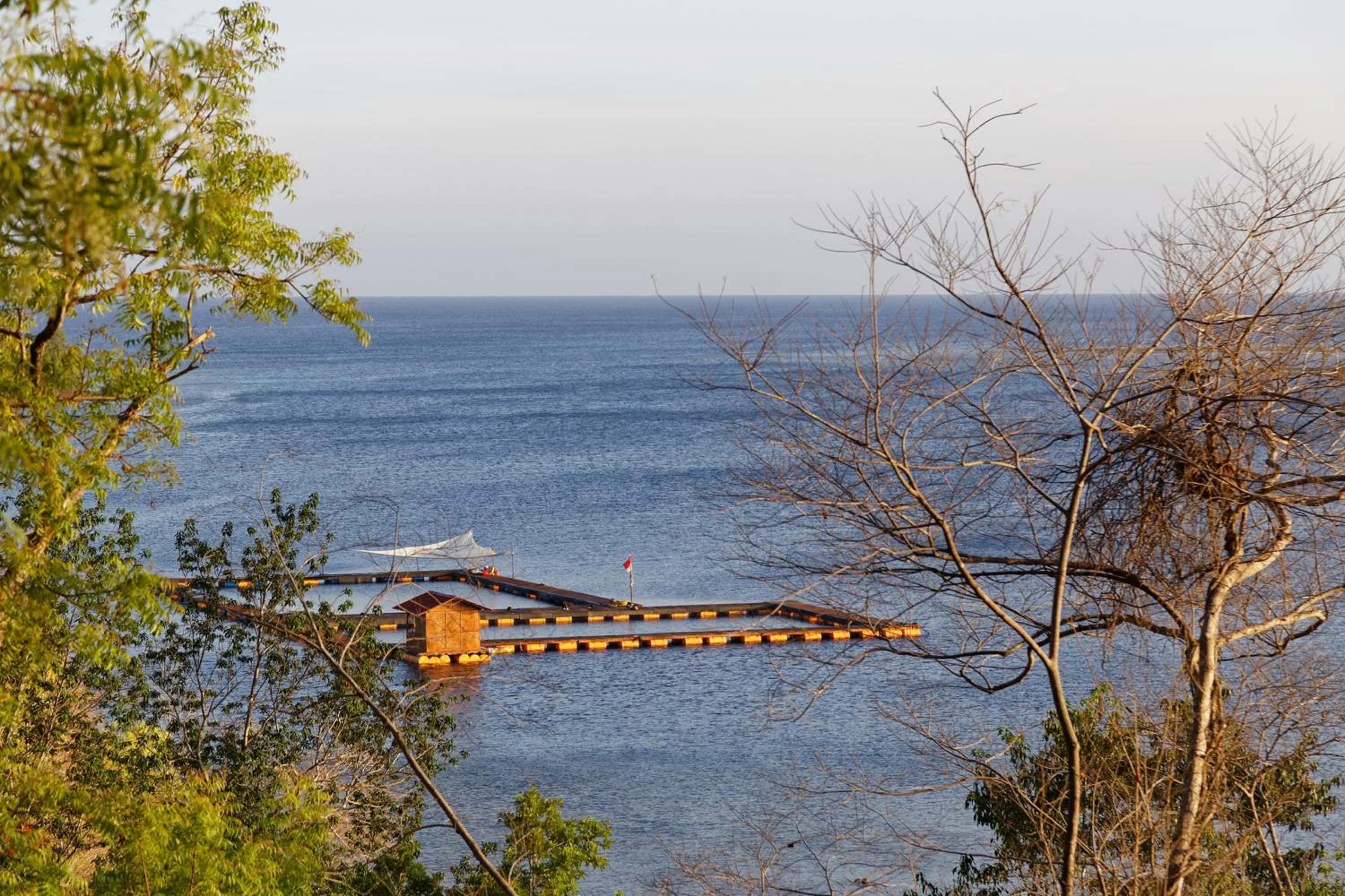 Other in Menjangan Ecolodge - CHSE Certified