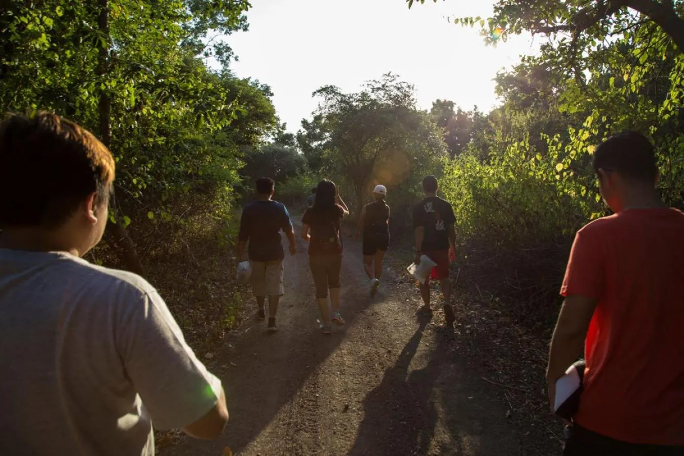 Entertainment in Menjangan Ecolodge - CHSE Certified