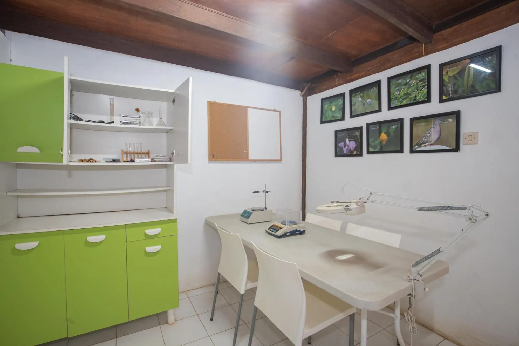 Property building in Menjangan Ecolodge - CHSE Certified