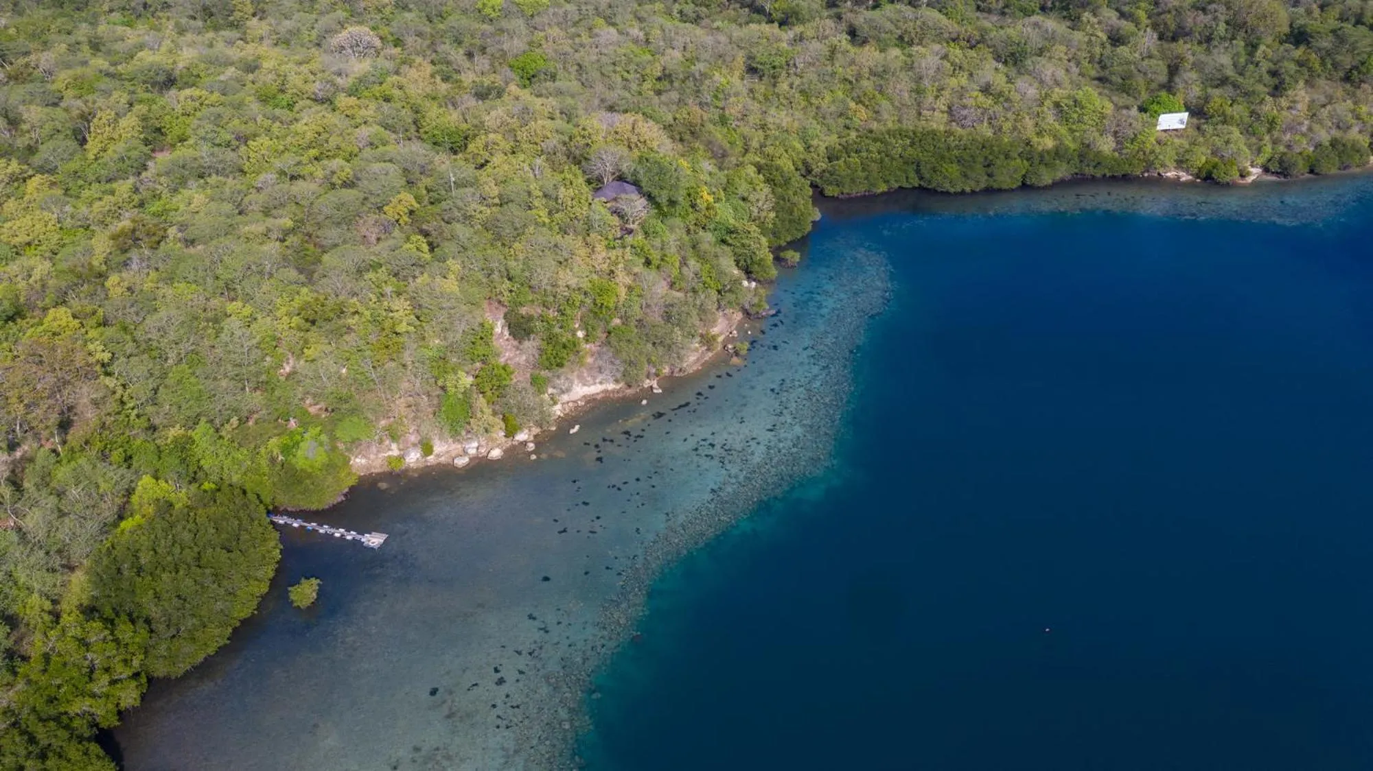 Bird's eye view in Menjangan Ecolodge - CHSE Certified