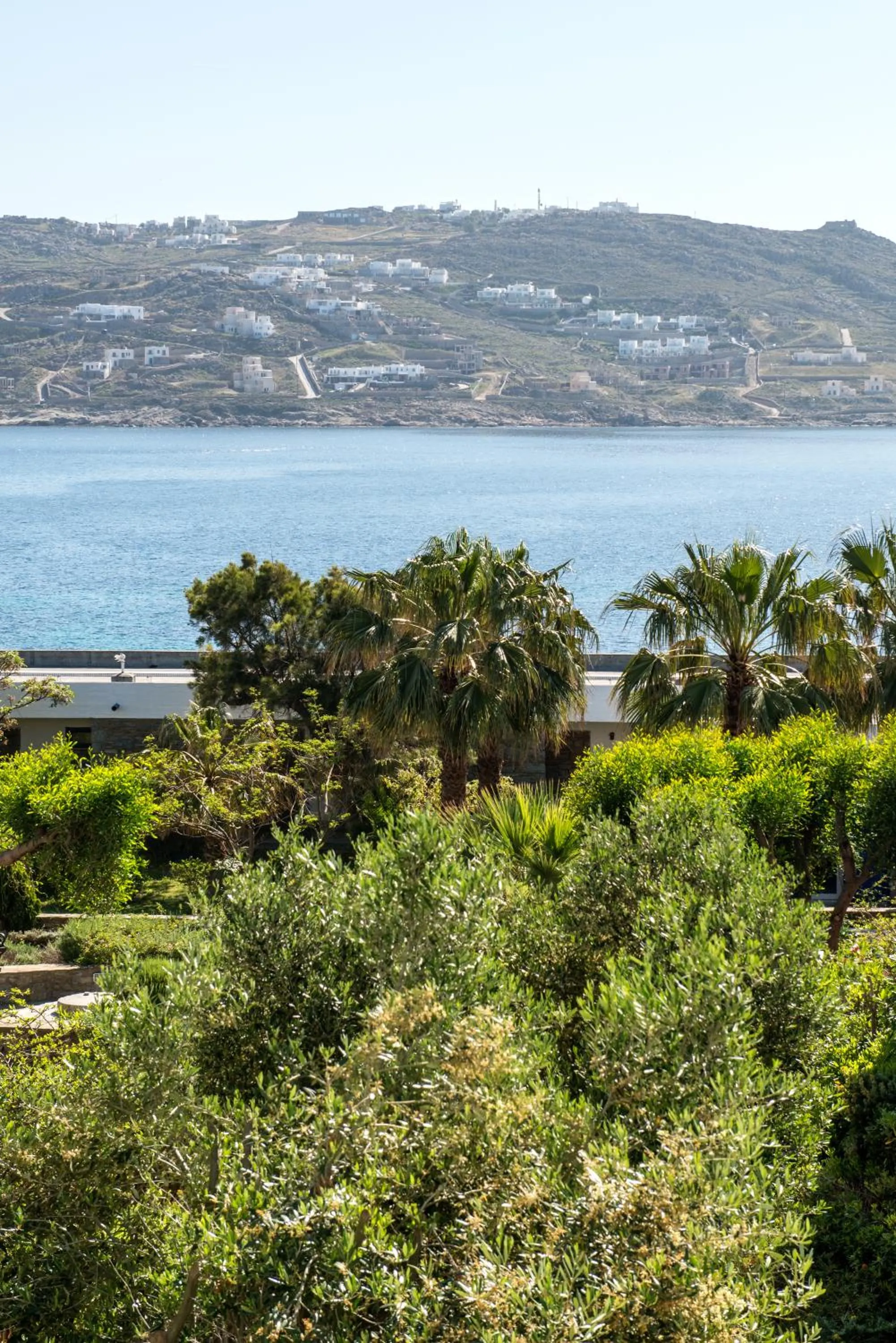 Day in Orpheas Rooms