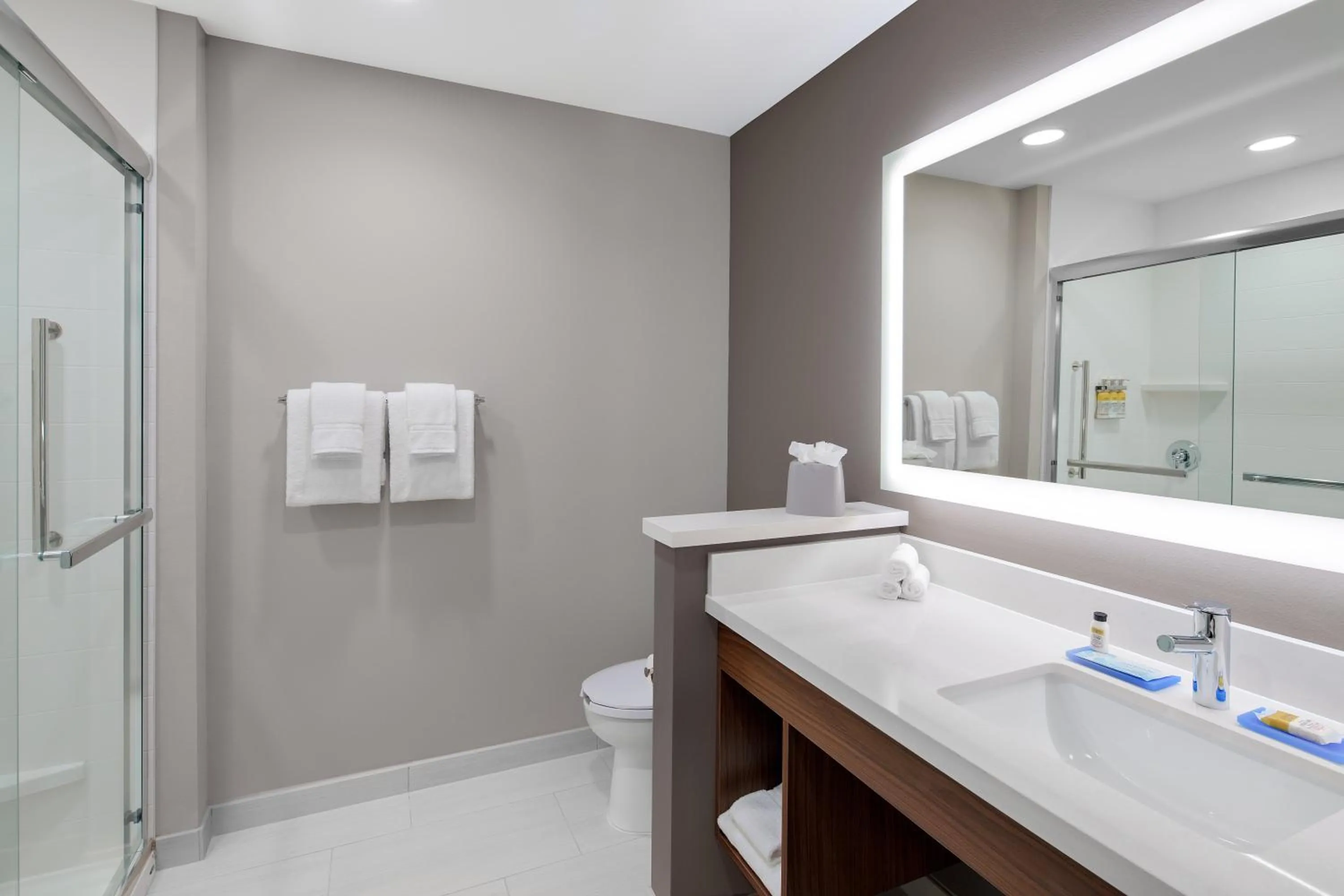 Bathroom in Holiday Inn Express & Suites Lubbock Central - Univ Area by IHG