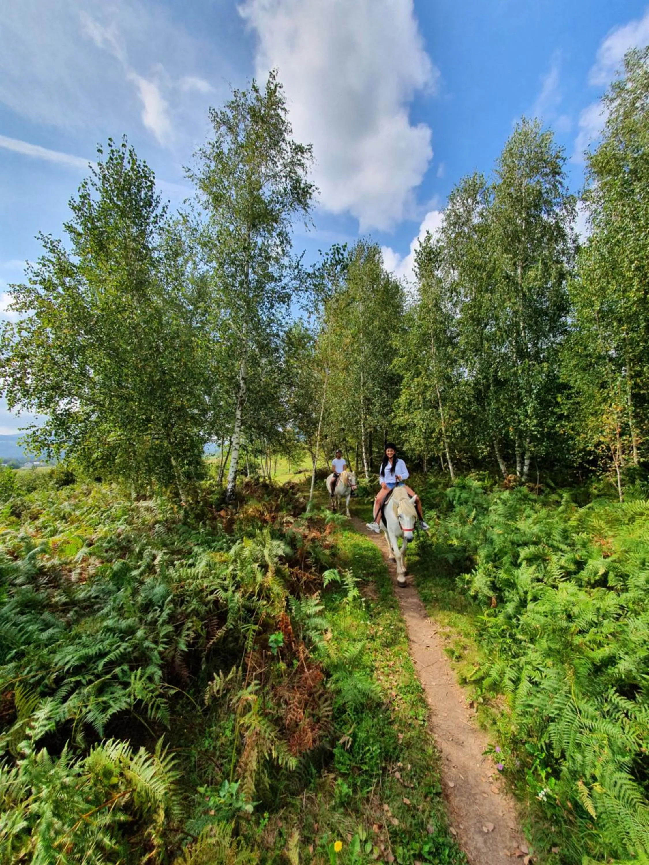 Horse-riding in Hotel Degenija