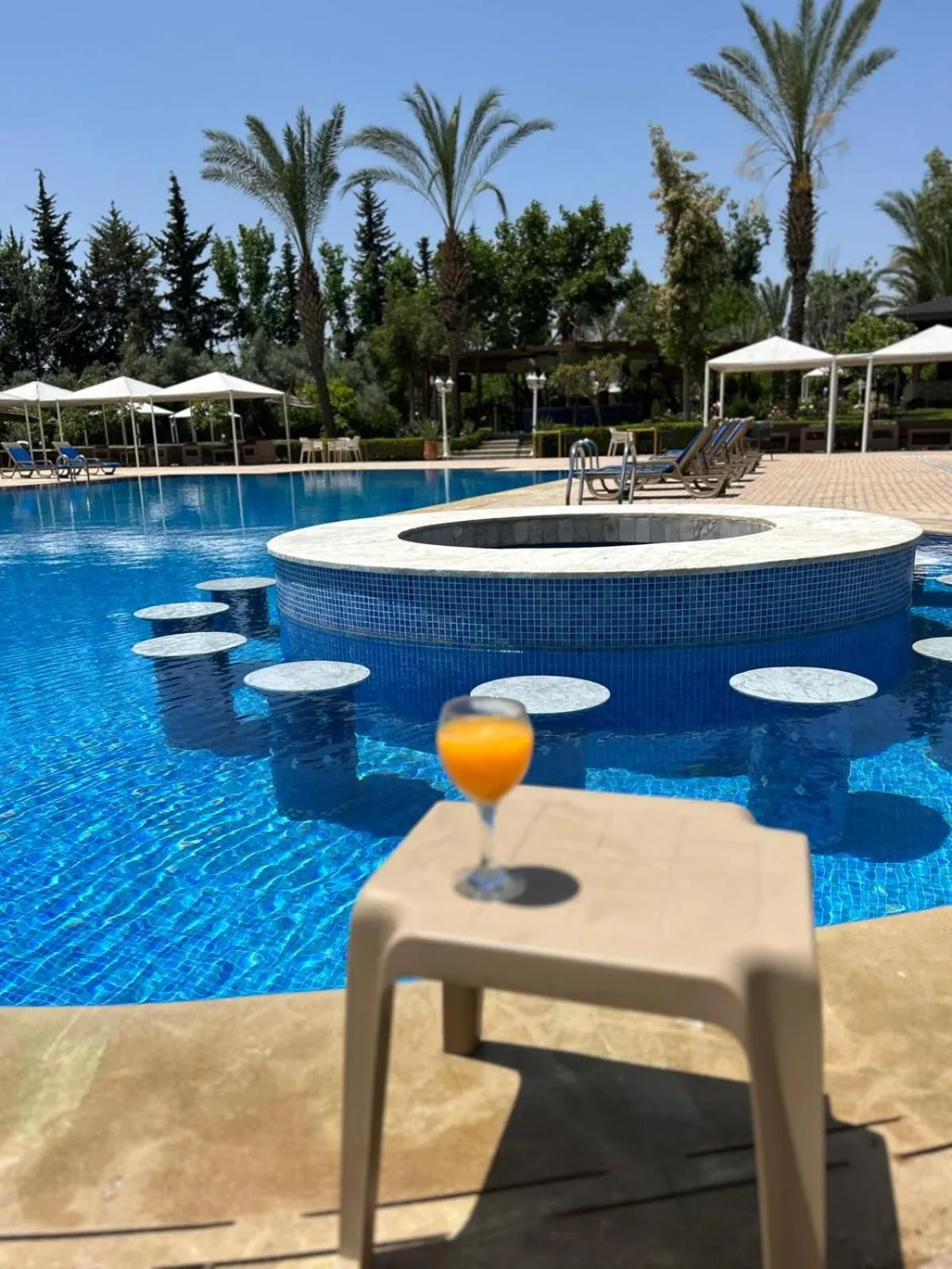 Swimming pool in Zalagh Parc Palace