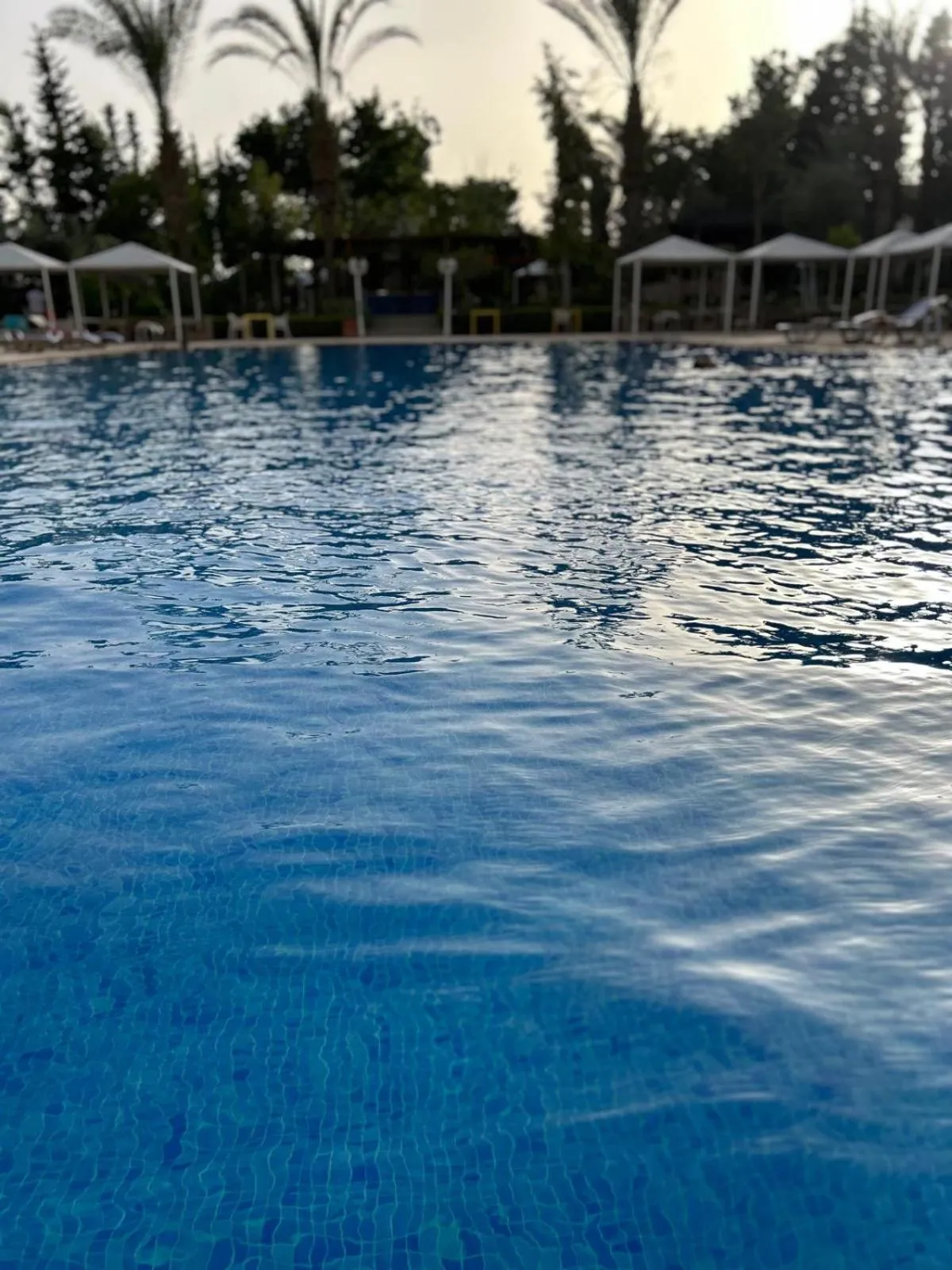 Swimming pool in Zalagh Parc Palace