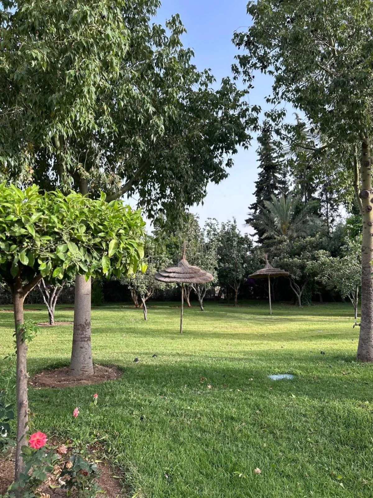 Garden in Zalagh Parc Palace