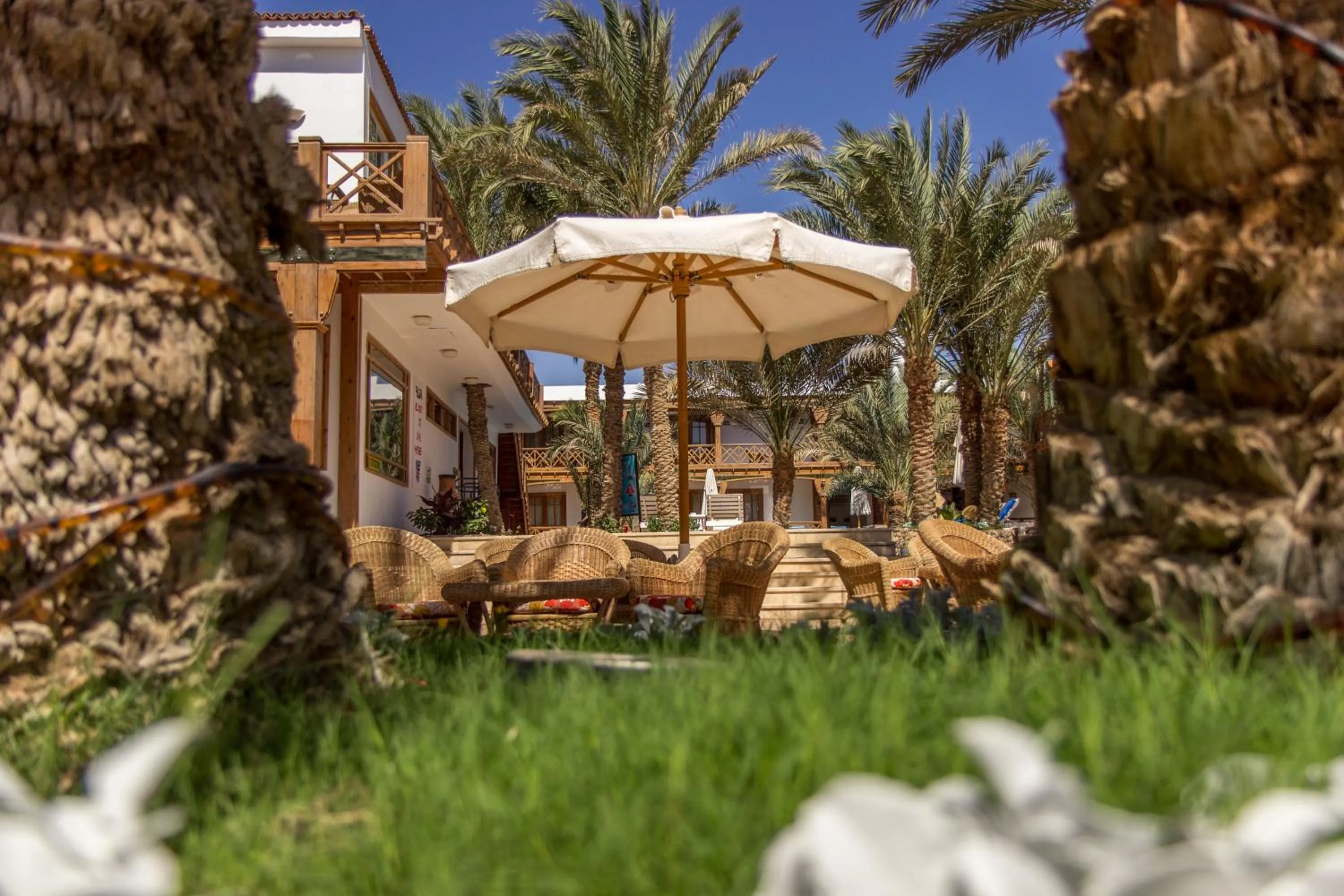 Garden in Acacia Dahab Hotel