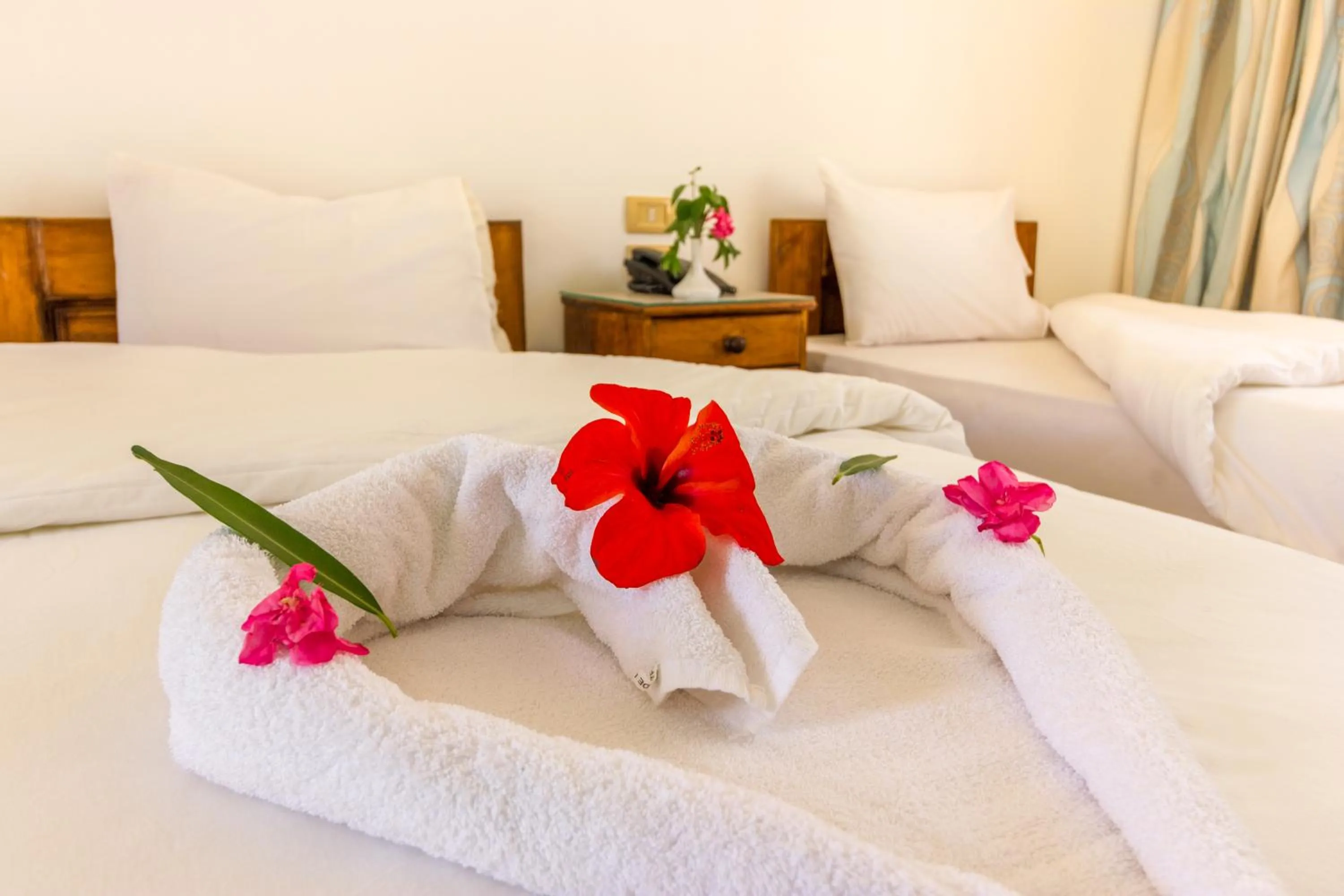 Other, Bed in Acacia Dahab Hotel