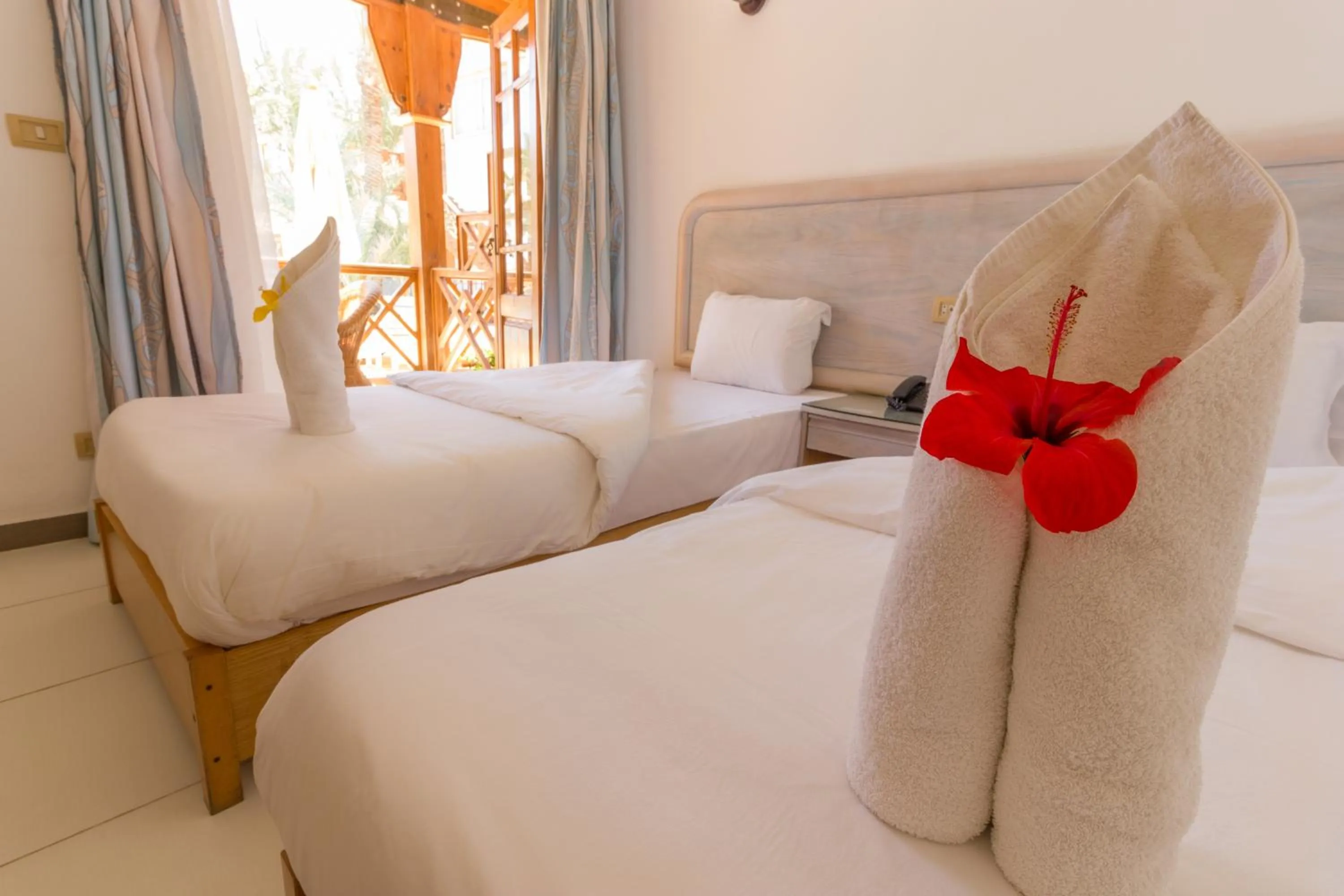 Day, Bed in Acacia Dahab Hotel