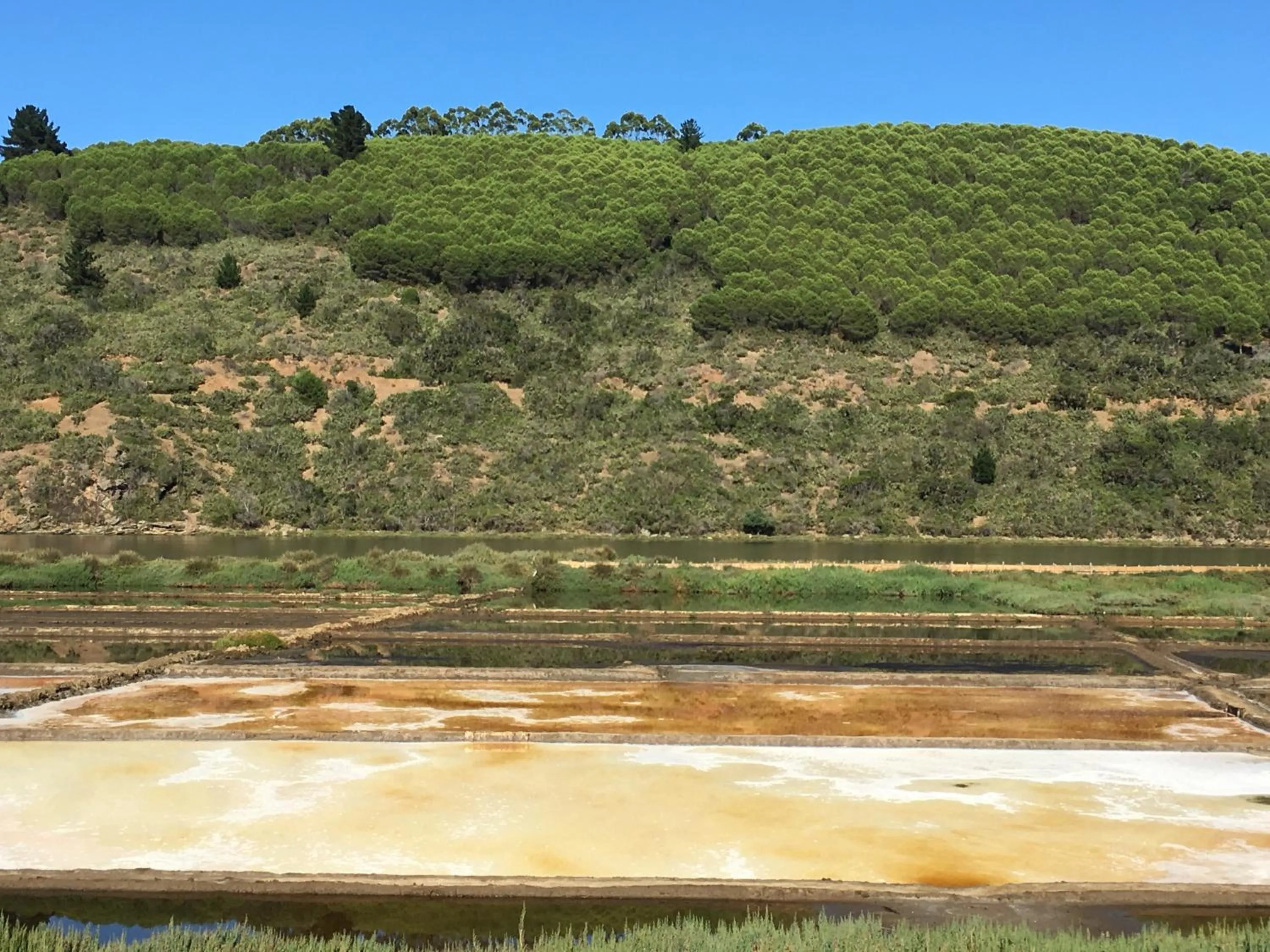 Natural landscape in Cabañas Piedra Grande