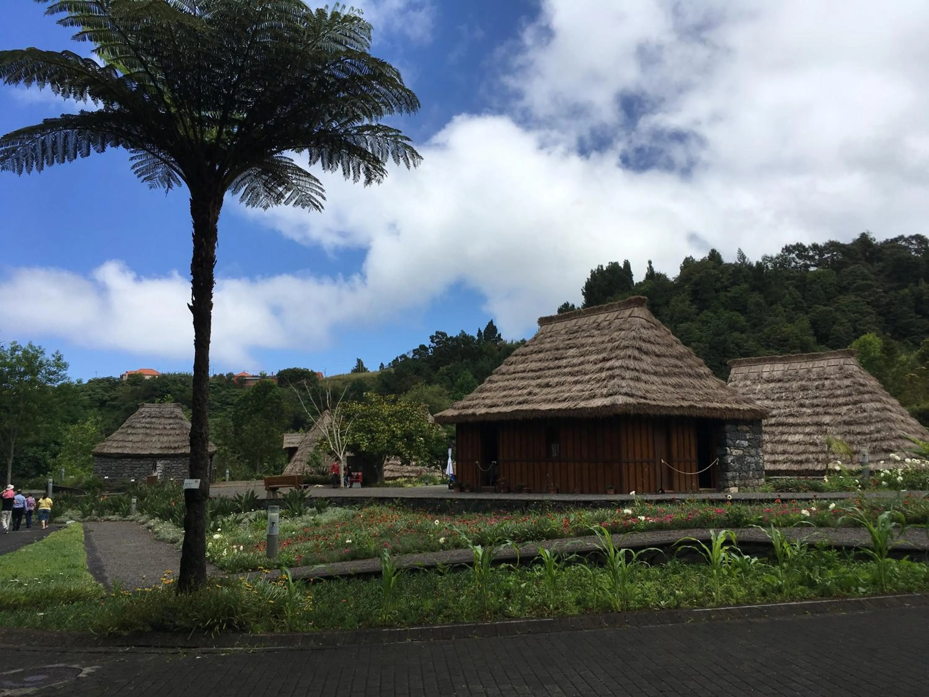 Nearby landmark in Casa do Til