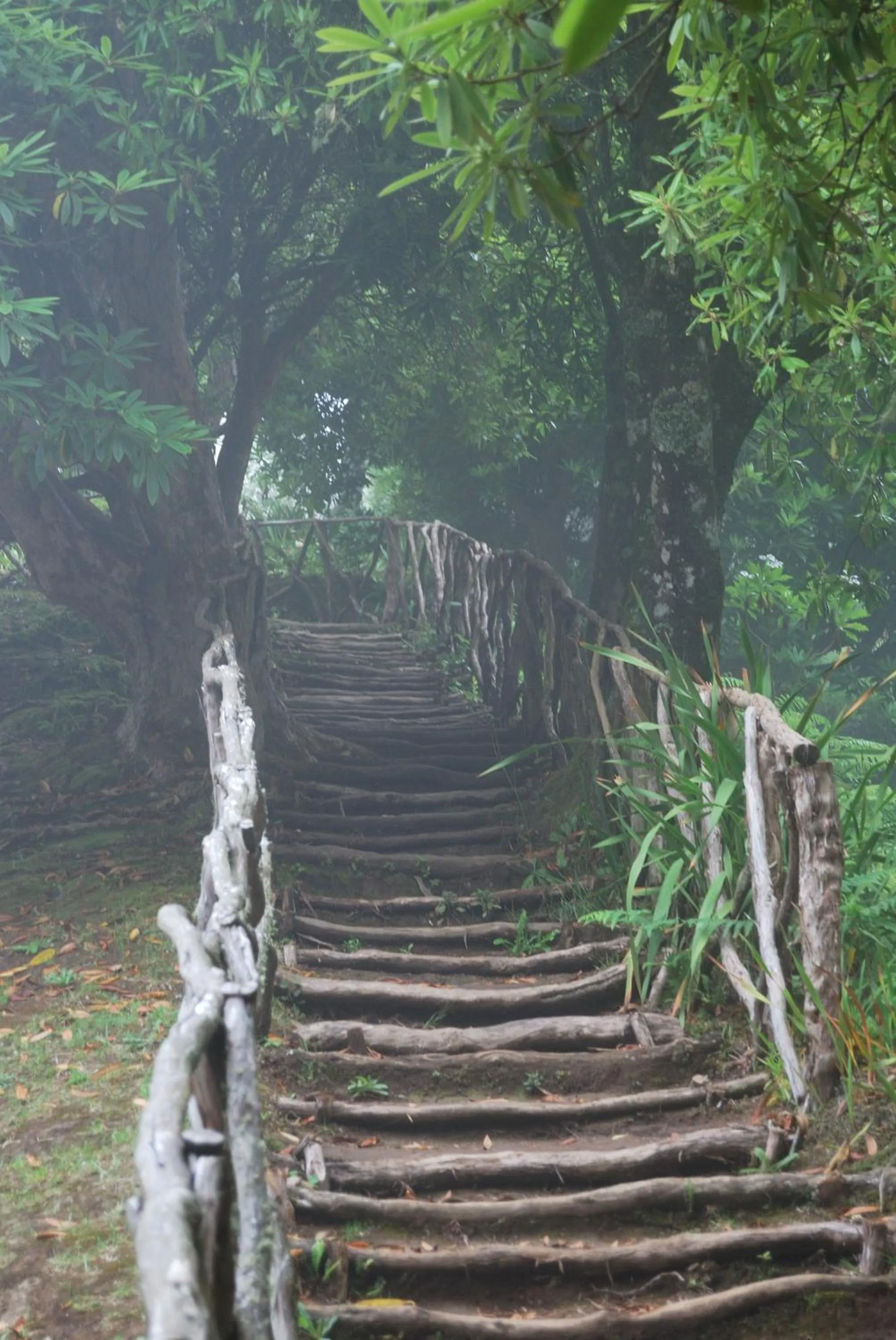 Nearby landmark in Casa do Til