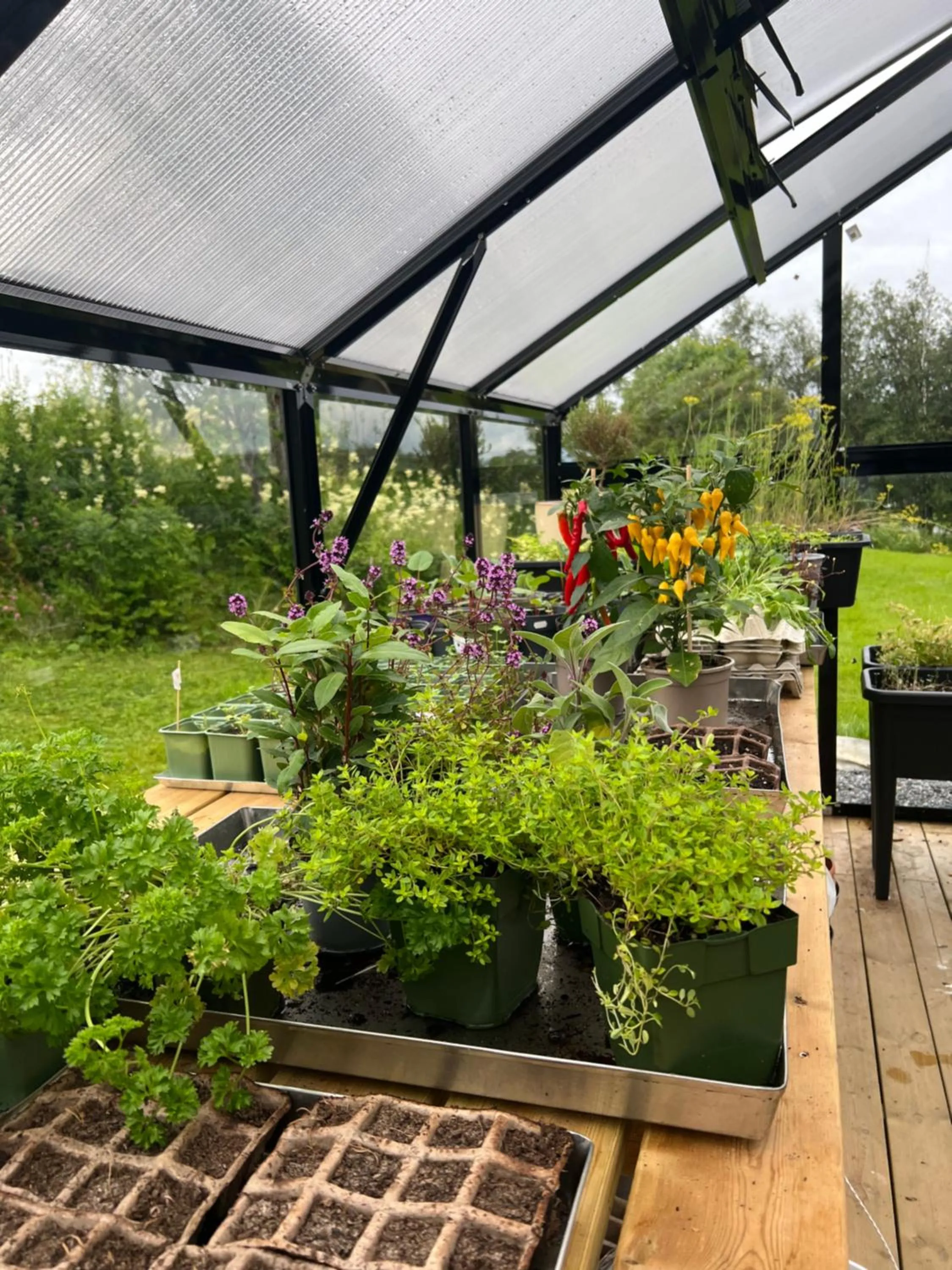 Garden in Saltstraumen Hotel og Fjordhytter