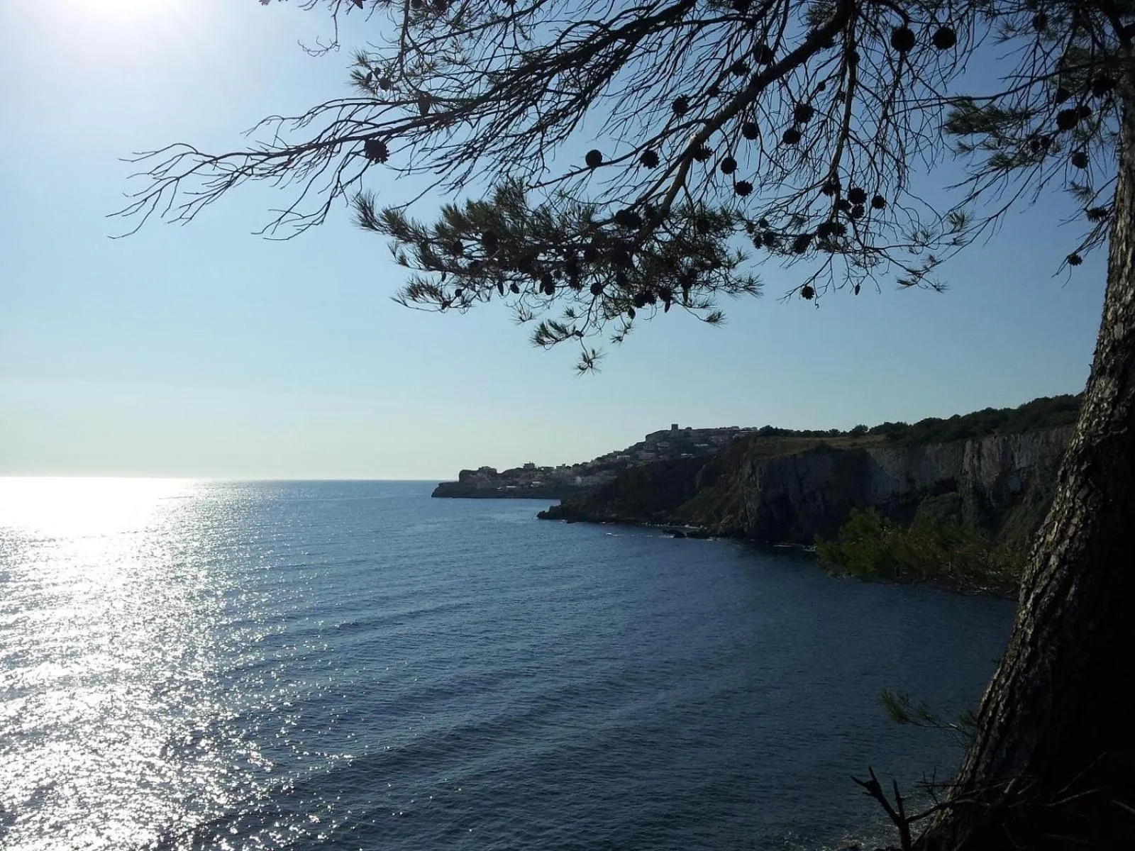 Landmark view in MAR BLAU L'ESCALA