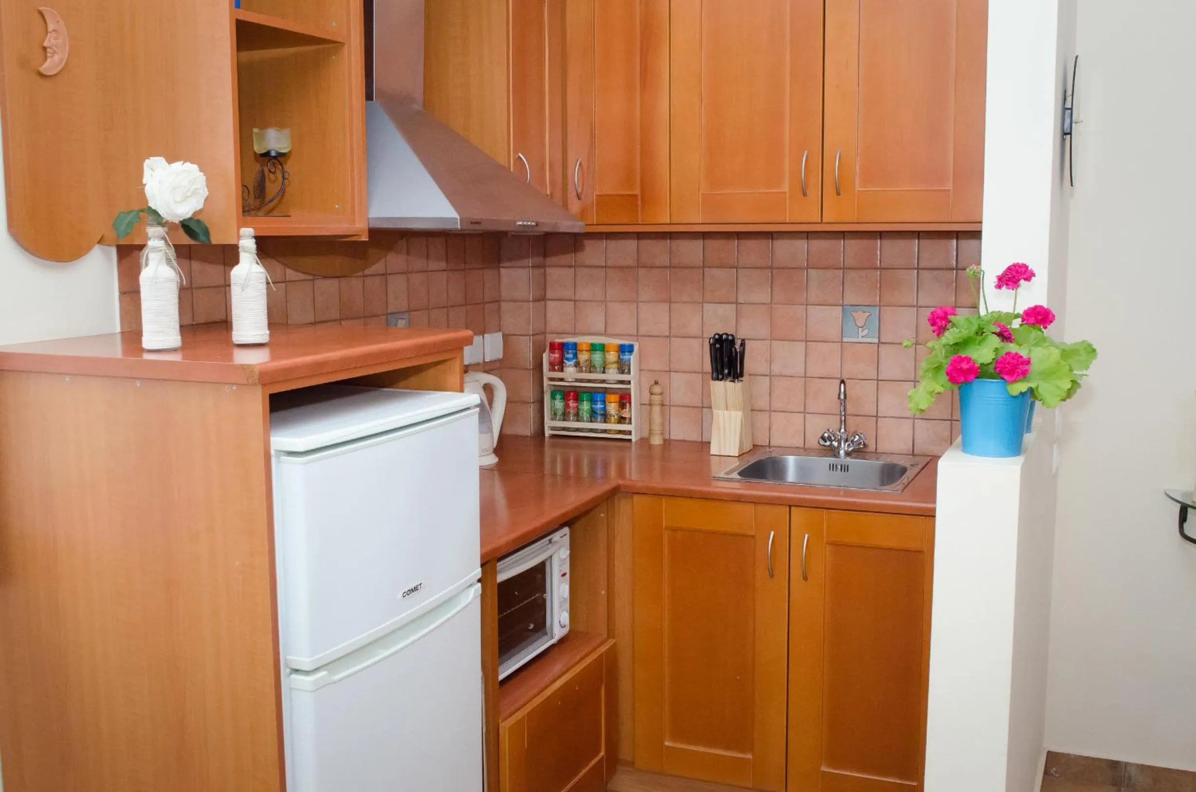 Kitchen or kitchenette in Diana Studios