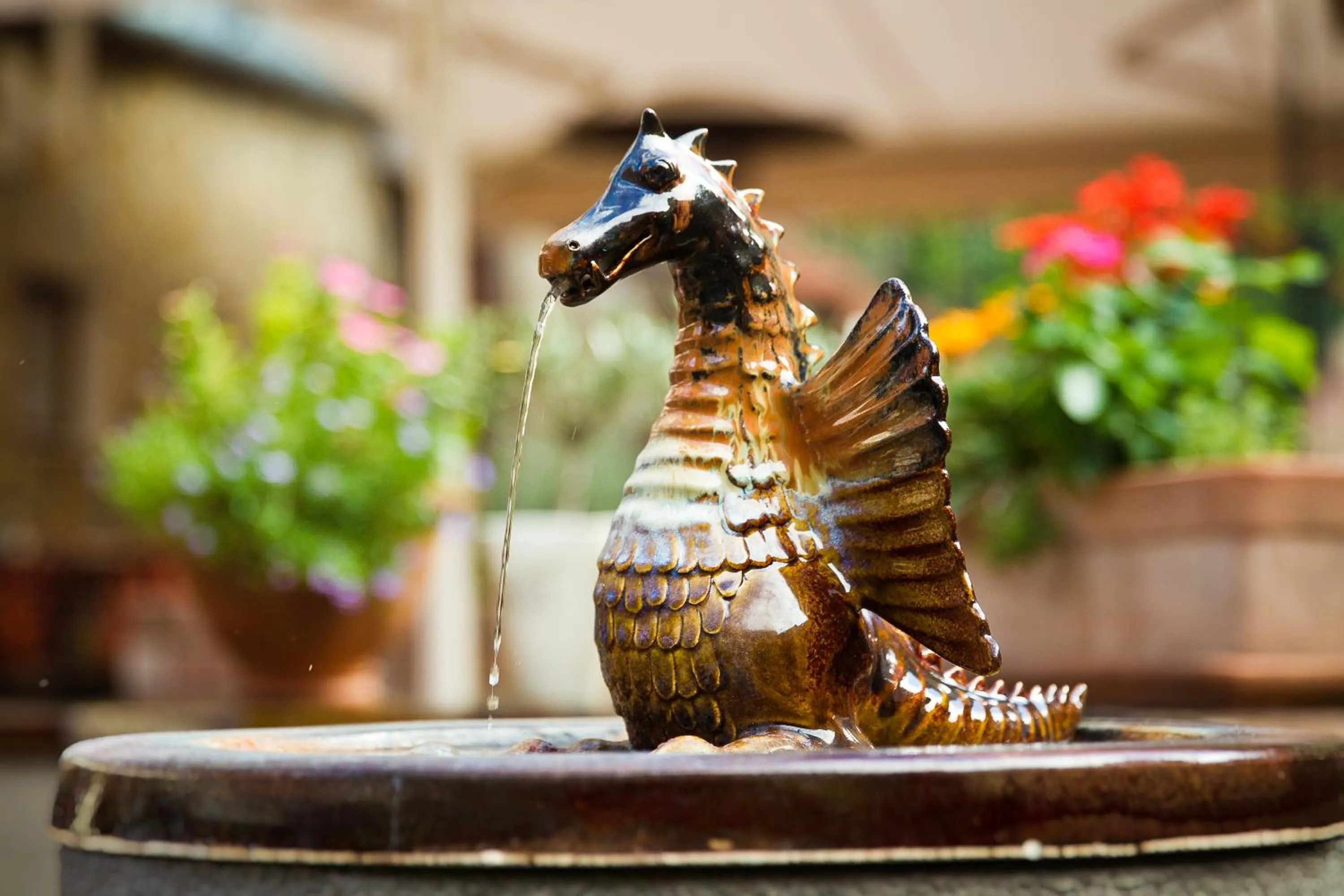 Restaurant/places to eat in Oliva Hotel